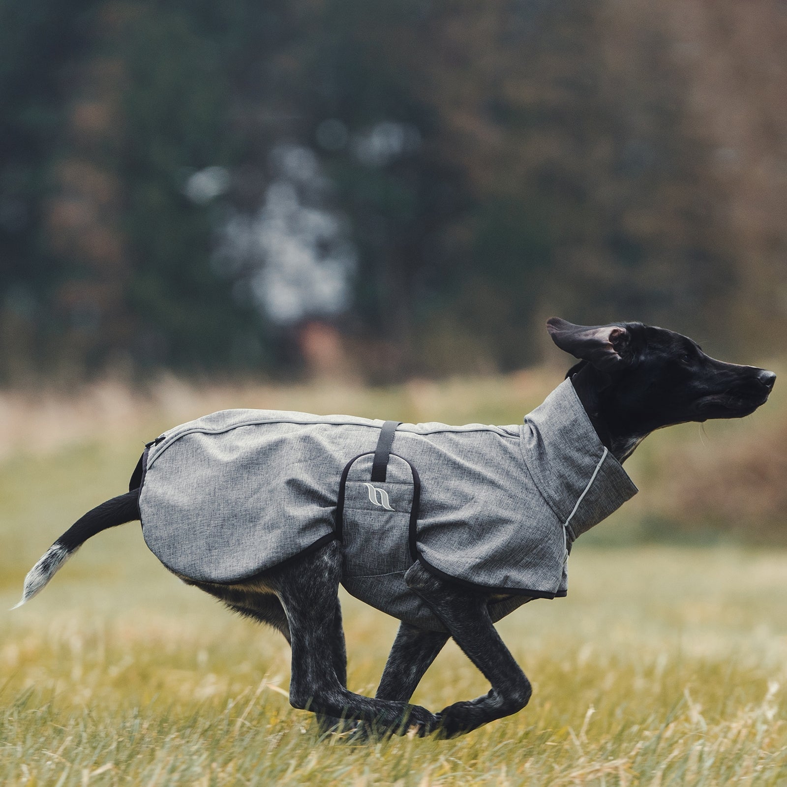 Back on Track Bark All-Round Dog Coat, 25-35cm Dog Accesories