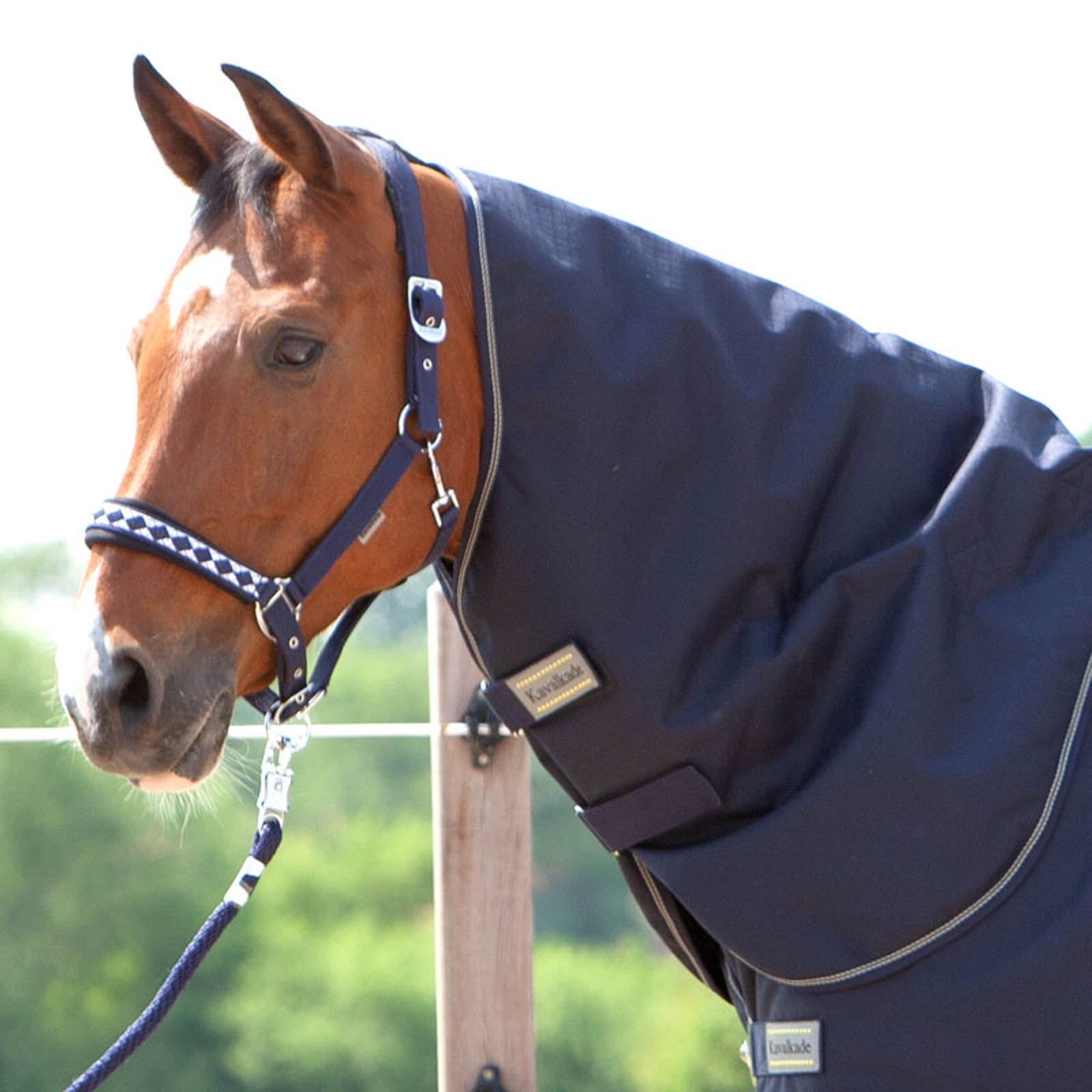 Kavalkade Neck for Montreal Turnout Rug, 100g Horse Rugs