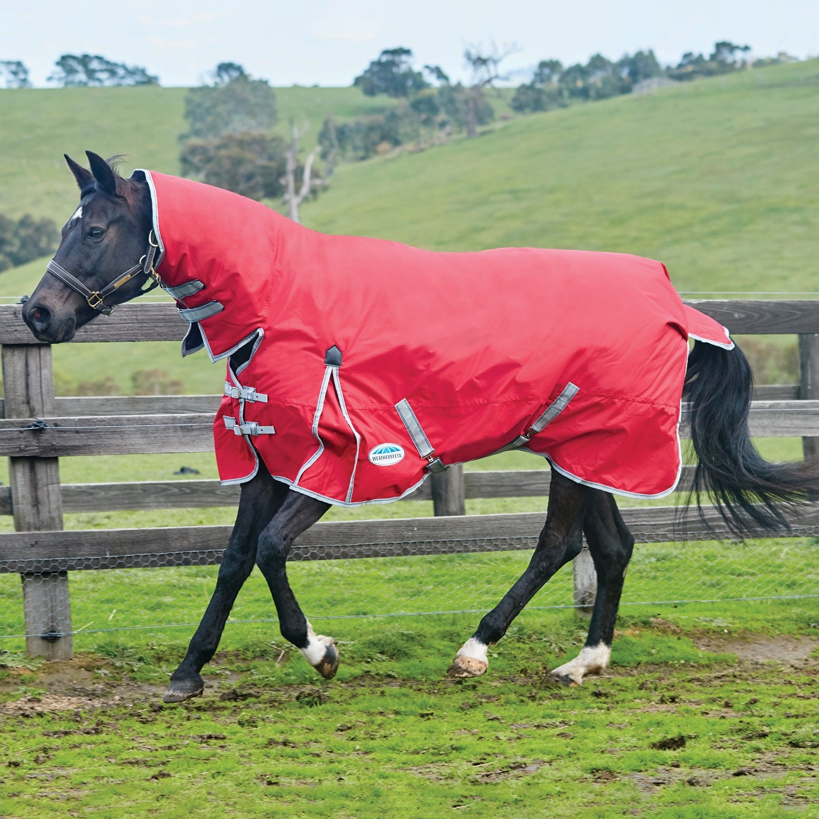Weatherbeeta Comfitec Classic Combo Neck Turnout Rug, 100g Horse Rugs