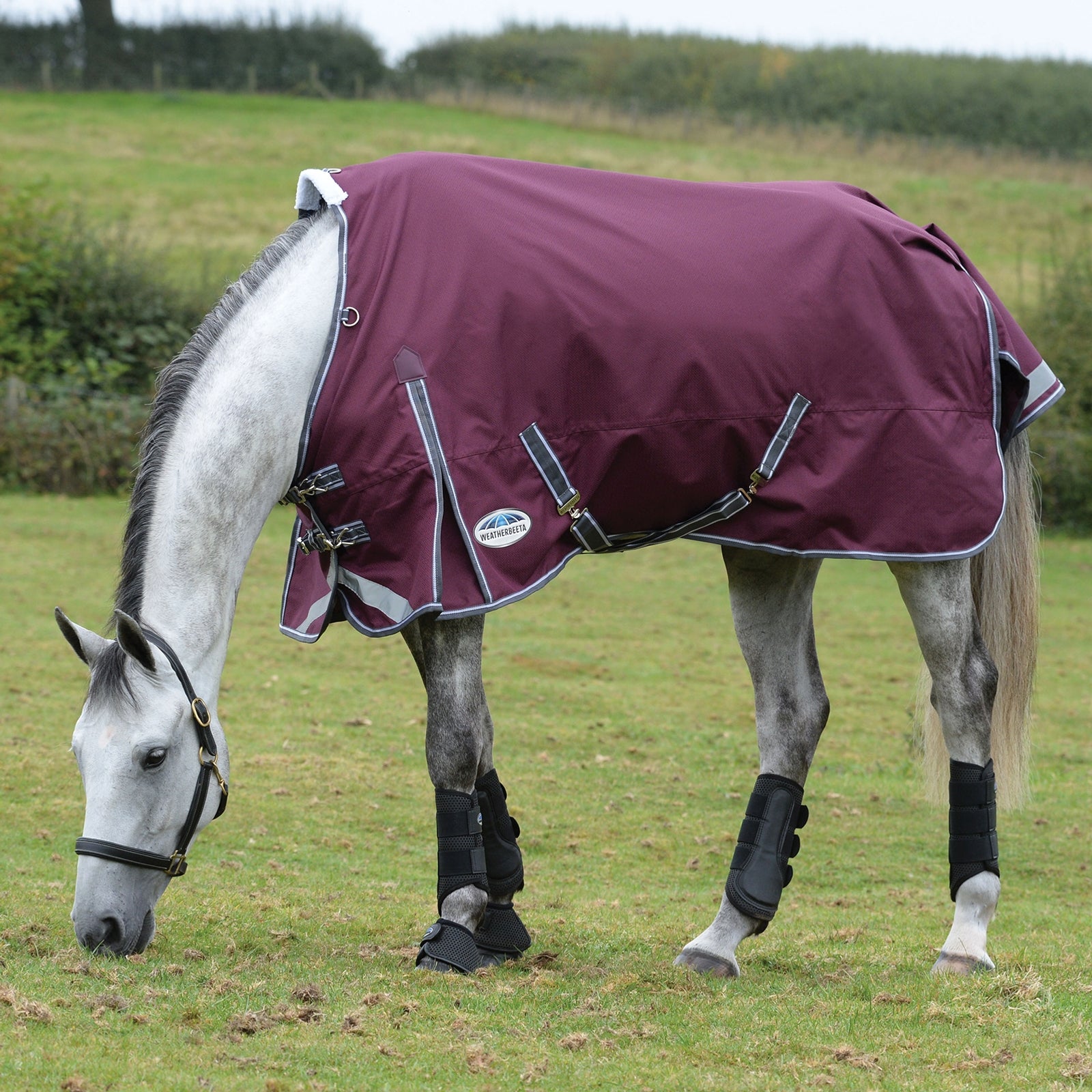 Weatherbeeta Comfitec Plus Dynamic II deka do výběhu se standardním krkem, 0g Horse Rugs