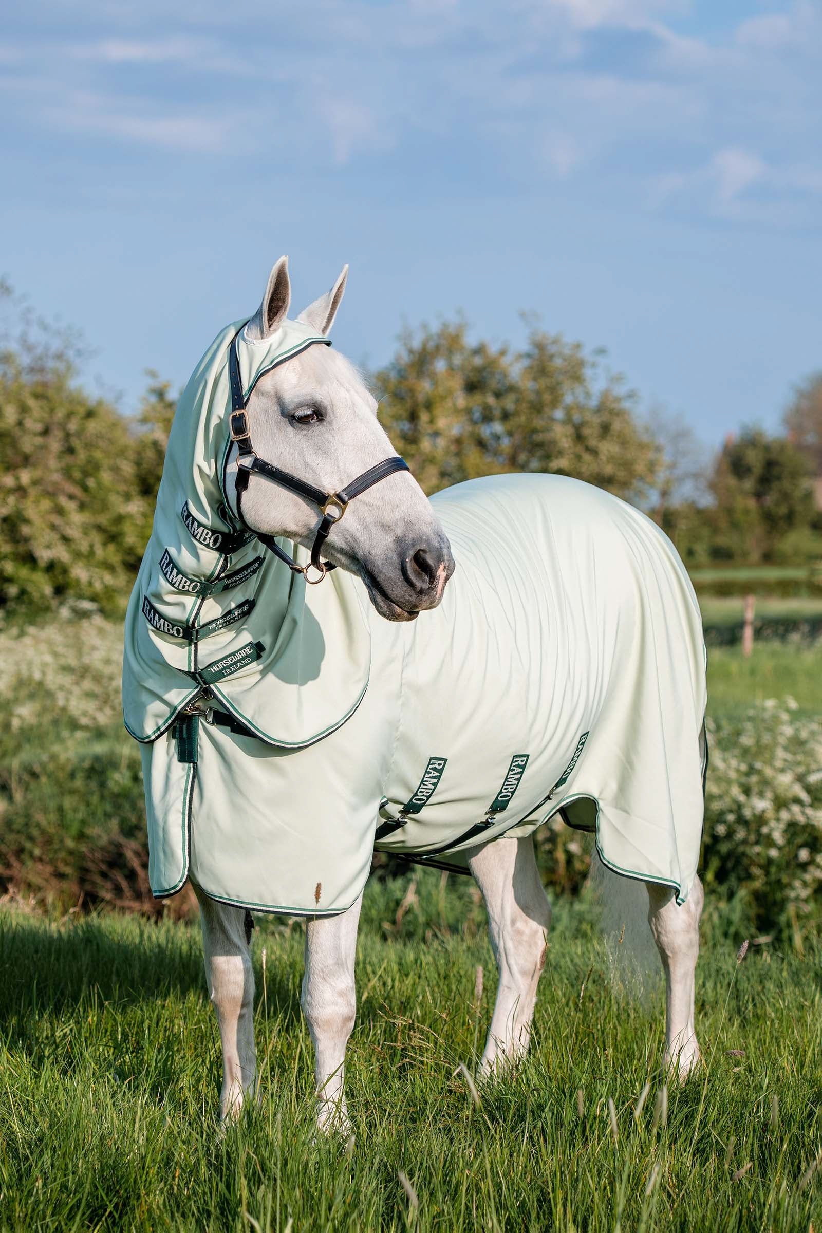 Horseware Rambo Hoody XL Horse Rugs