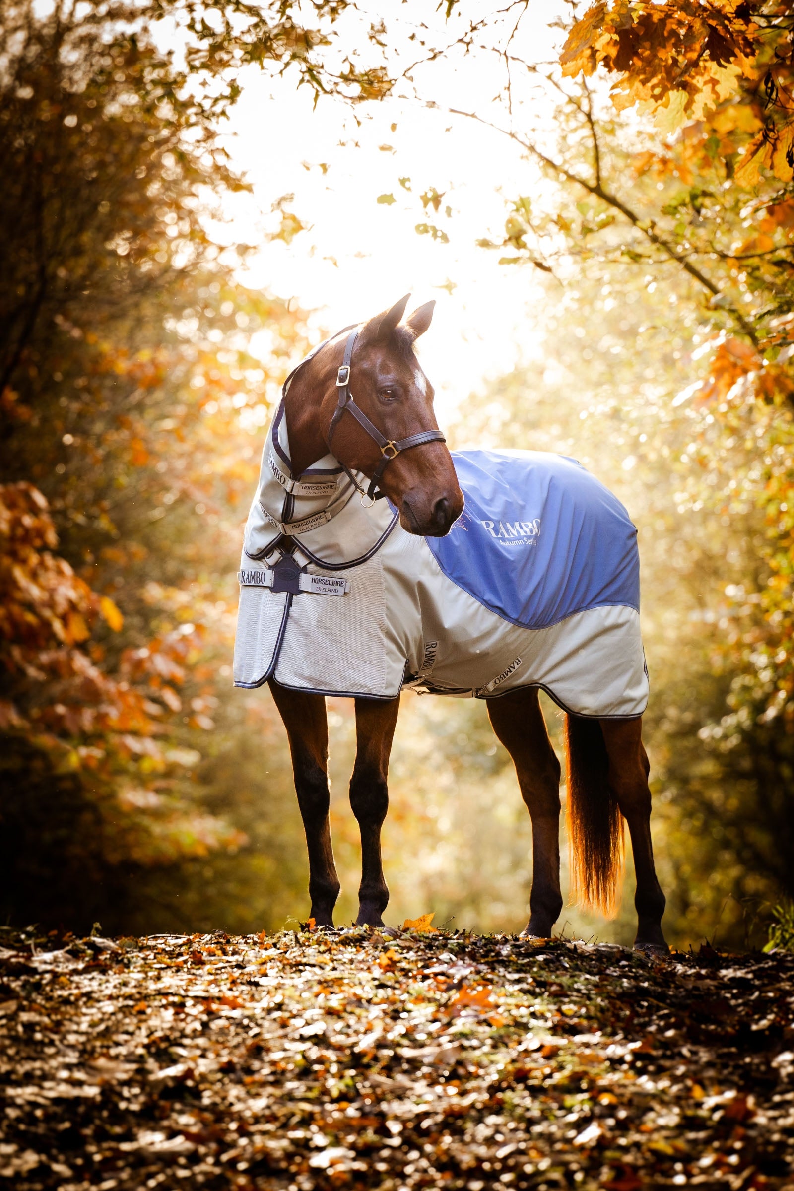 Horseware Rambo Autumn Series výběhová deka s podložkou (0 g / 100 g) Horse Rugs