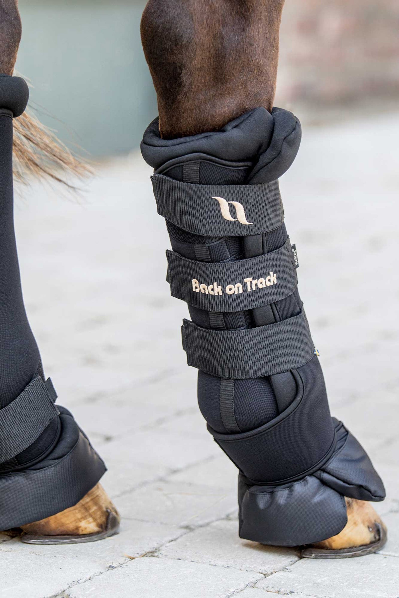 Back on Track Royal Quick Wraps Deluxe (2 ks) Leg Protection & Hoof Protection for Horses