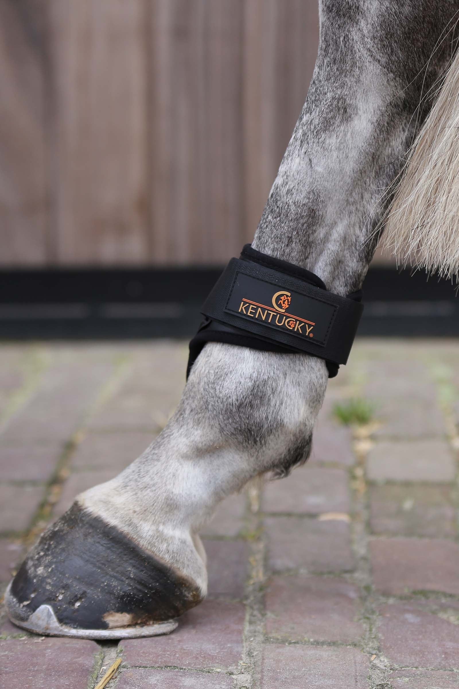Kentucky Horsewear Young Horse Fetlock Boots Leg Protection & Hoof Protection for Horses