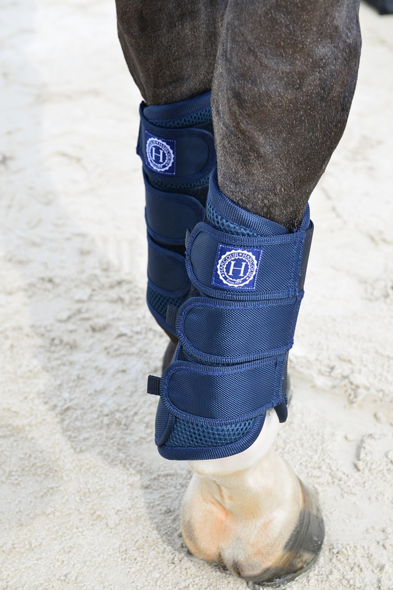 Harcour Cosmic Mesh Tendon Boots Leg & Hoof Protection