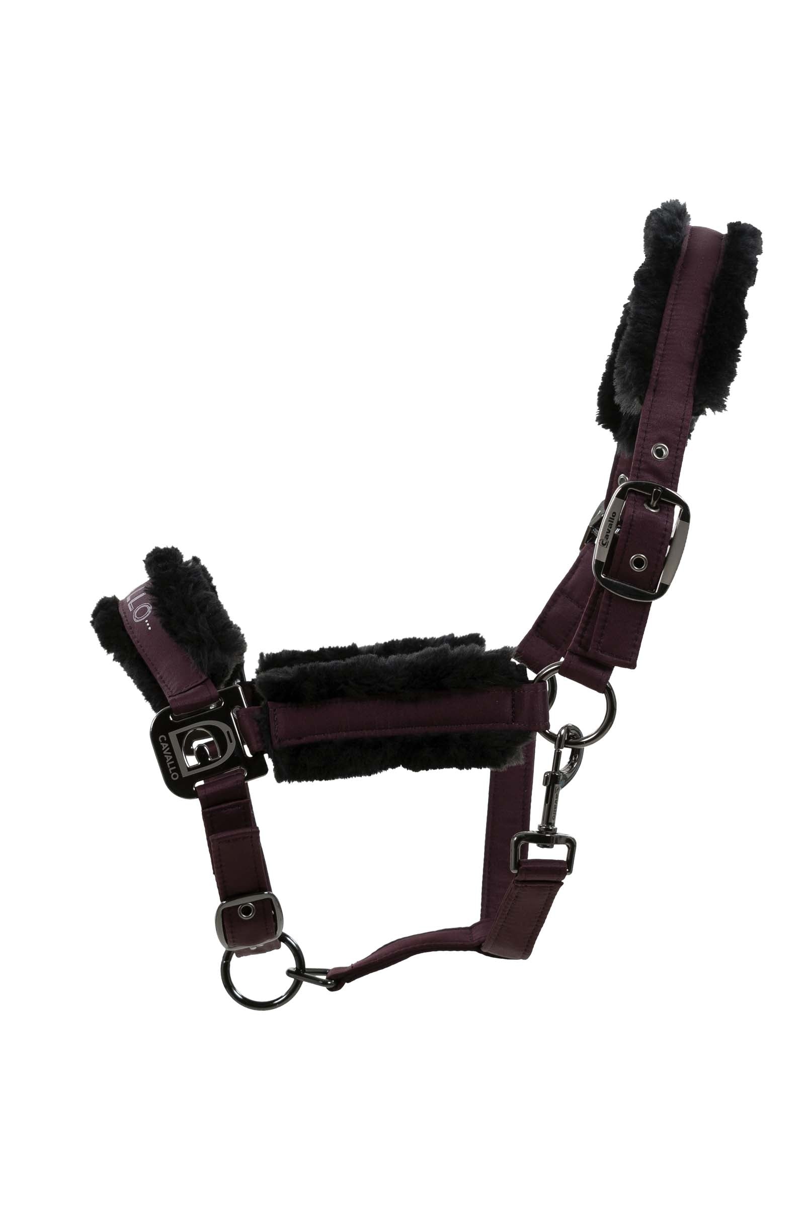 Cavallo CavaHafida Halter Halters & Leads