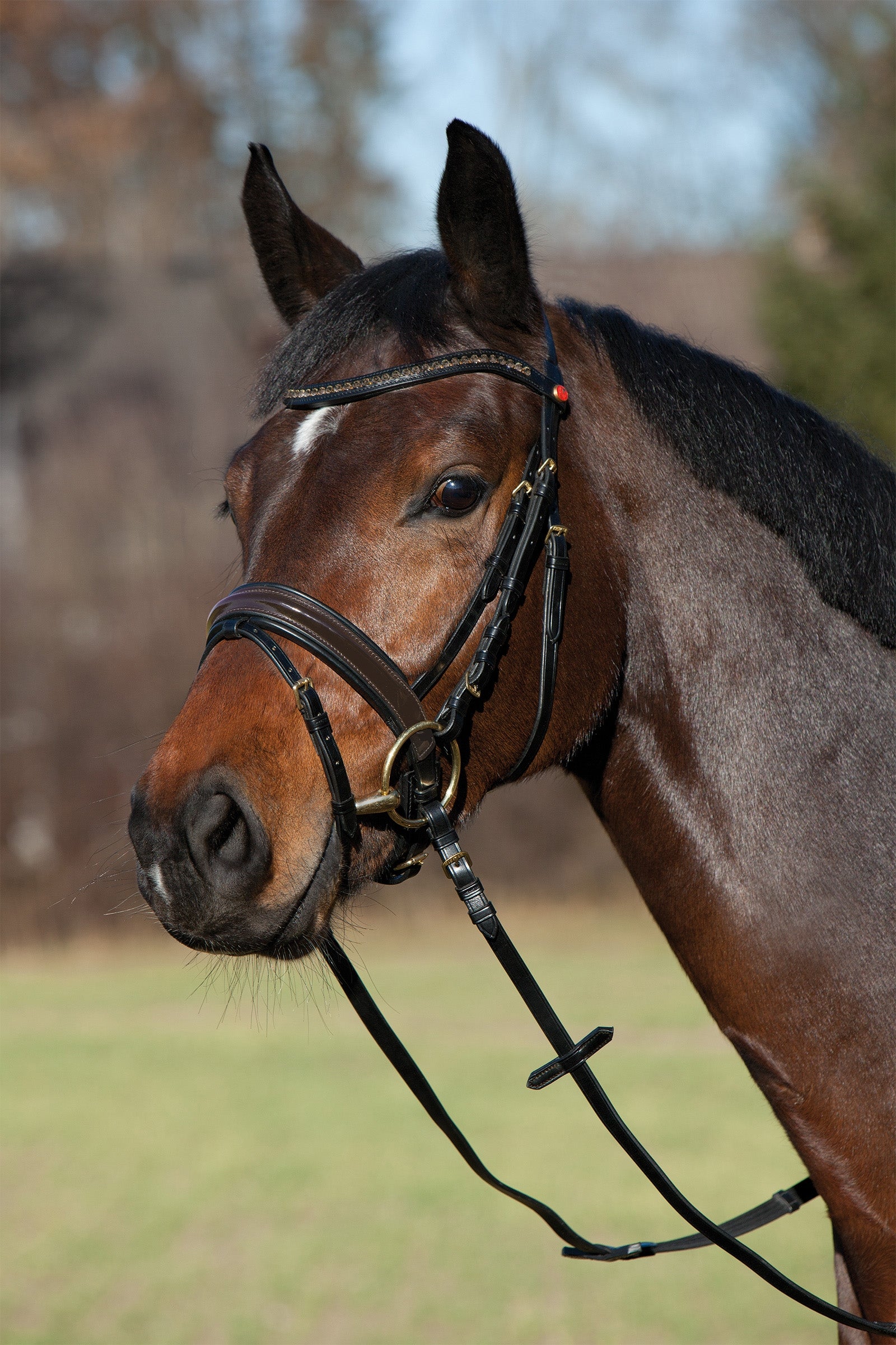 Kieffer Comfort Paris Bridle Bridles & Reins