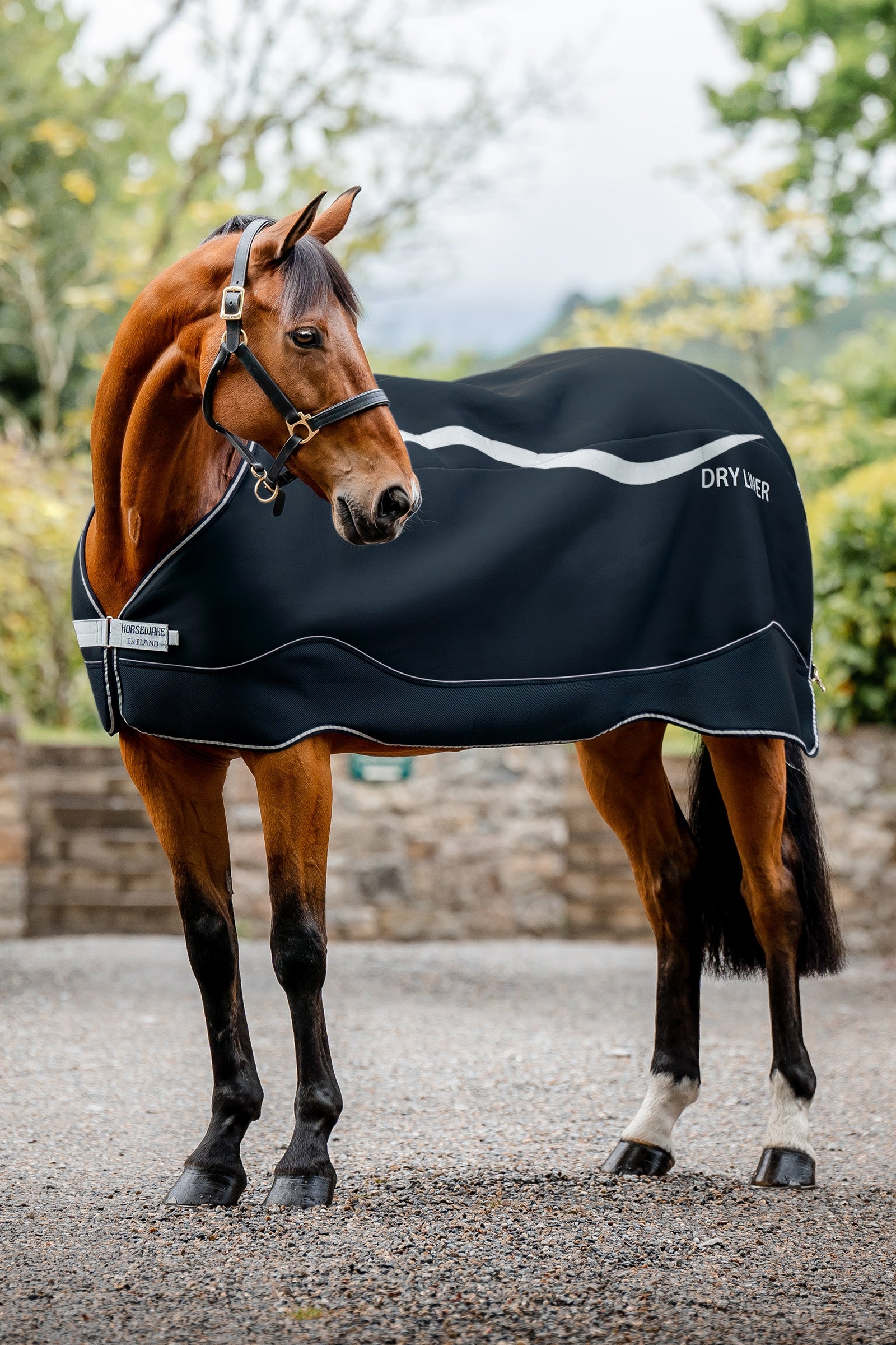 Horseware Dry Liner podložka s funkcí sušení, 50 g Horse Rugs