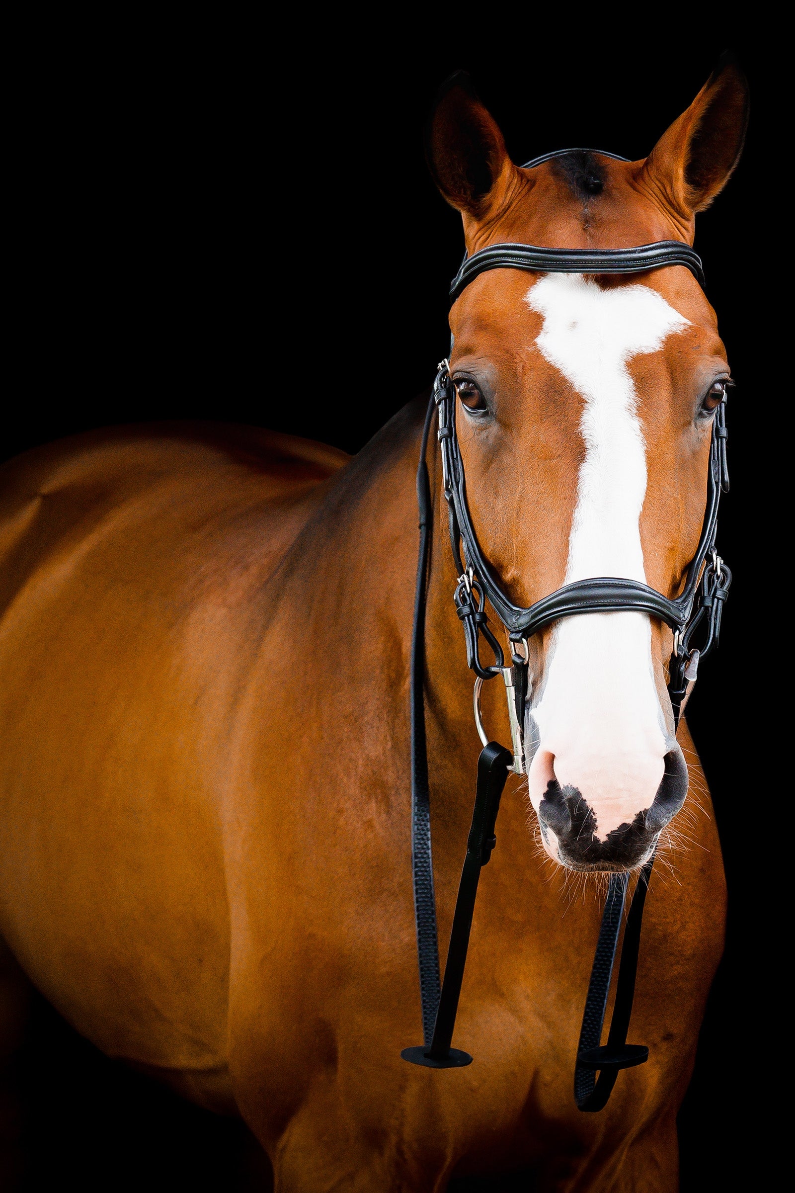 Horseware Micklem 2 Deluxe Competition Uzda Bridles & Reins