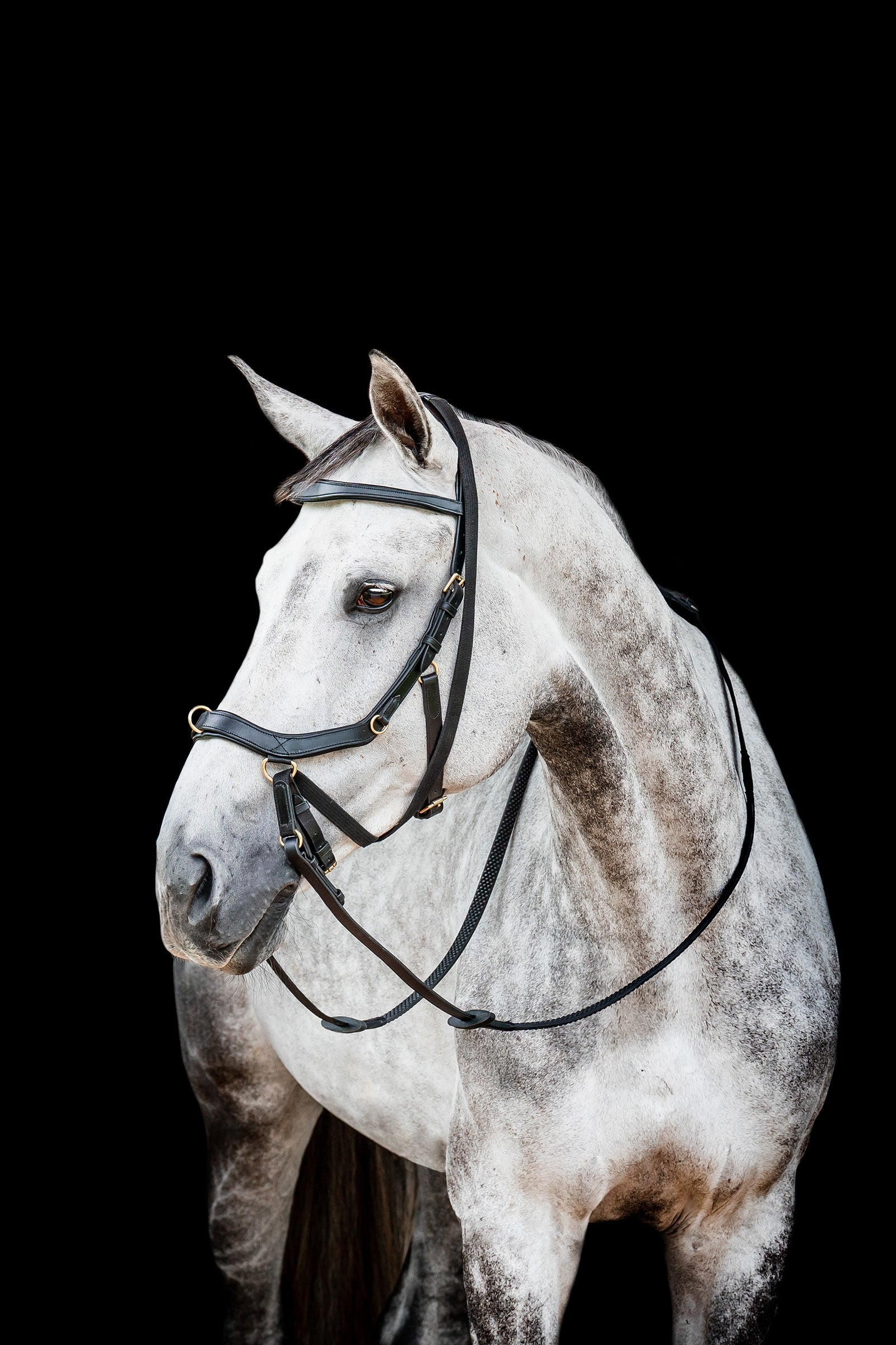 Horseware Micklem 2 Multi Uzda Bridles & Reins