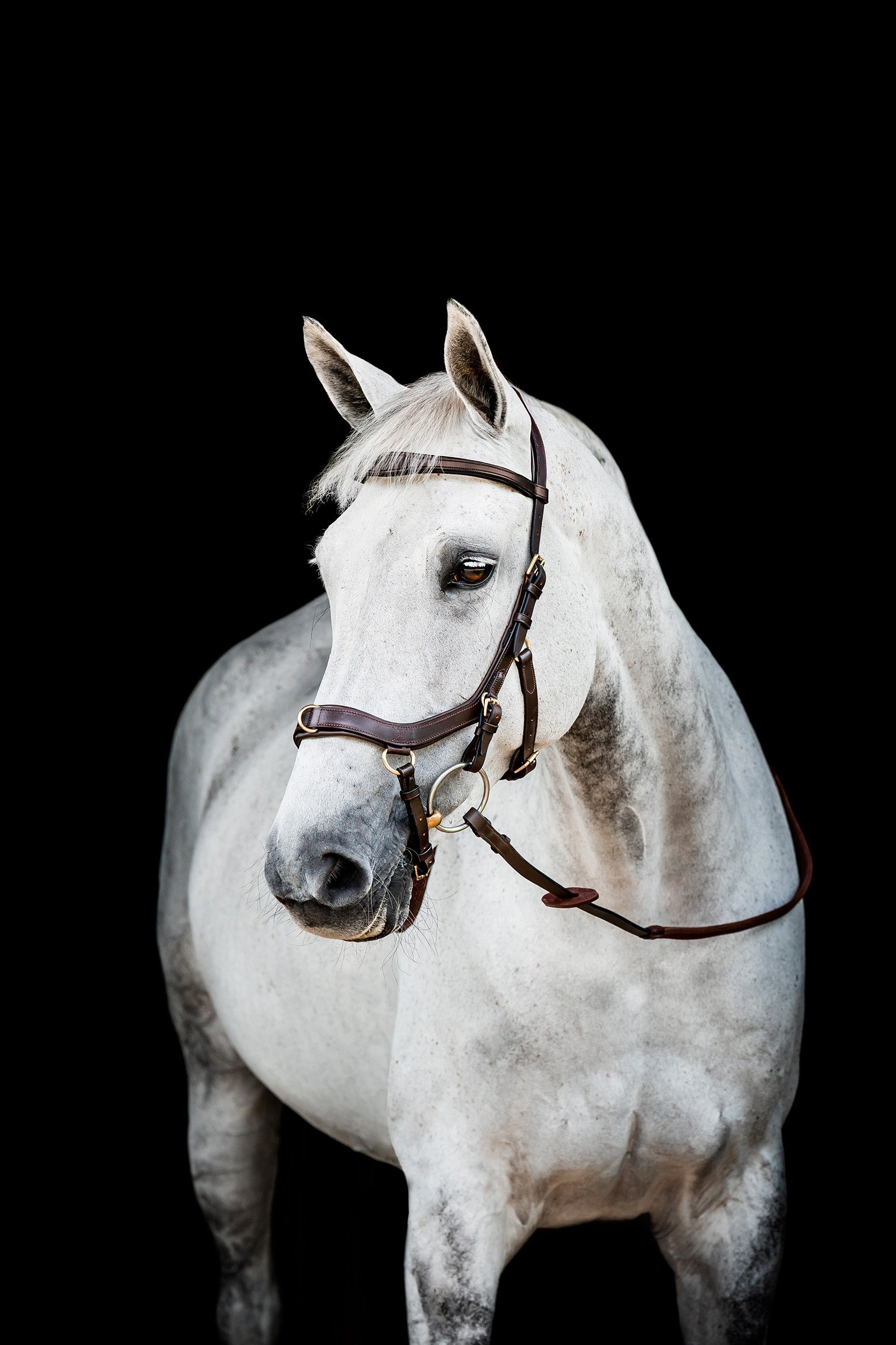 Horseware Micklem 2 Multi Uzda Bridles & Reins