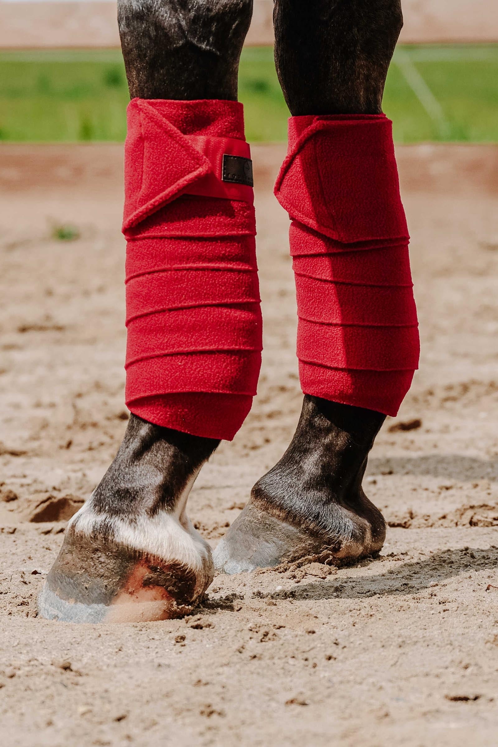Equi Theme EQUITHÈME Polo Bands (3,0 m) Leg & Hoof Protection