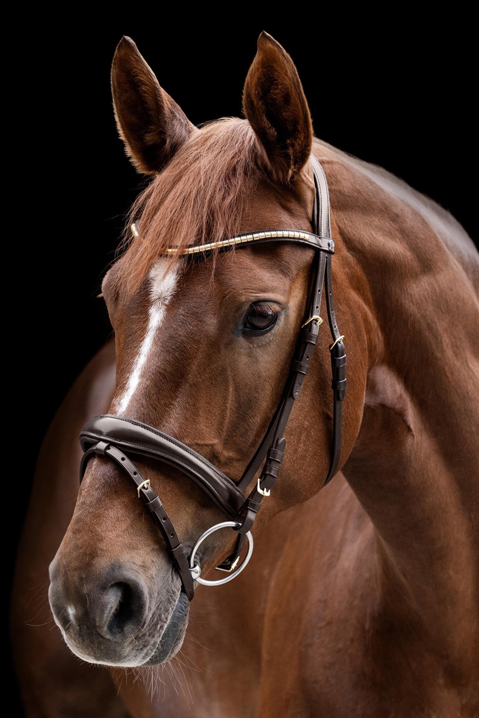 Waldhausen X-Line Clincher Bridle Bridles & Reins