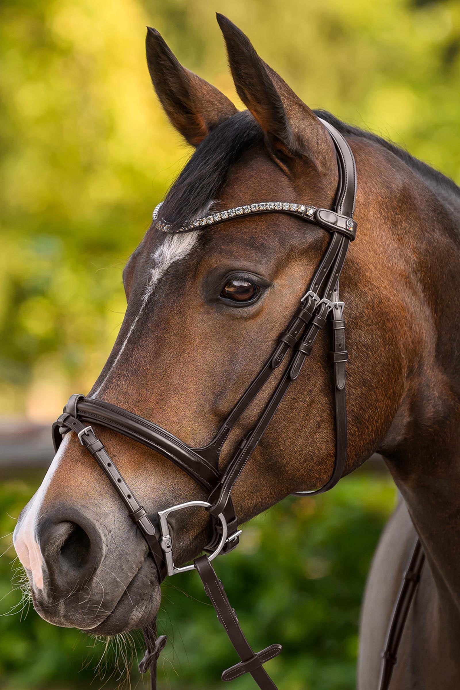 Waldhausen X-Line Shine Browband Bridles & Reins