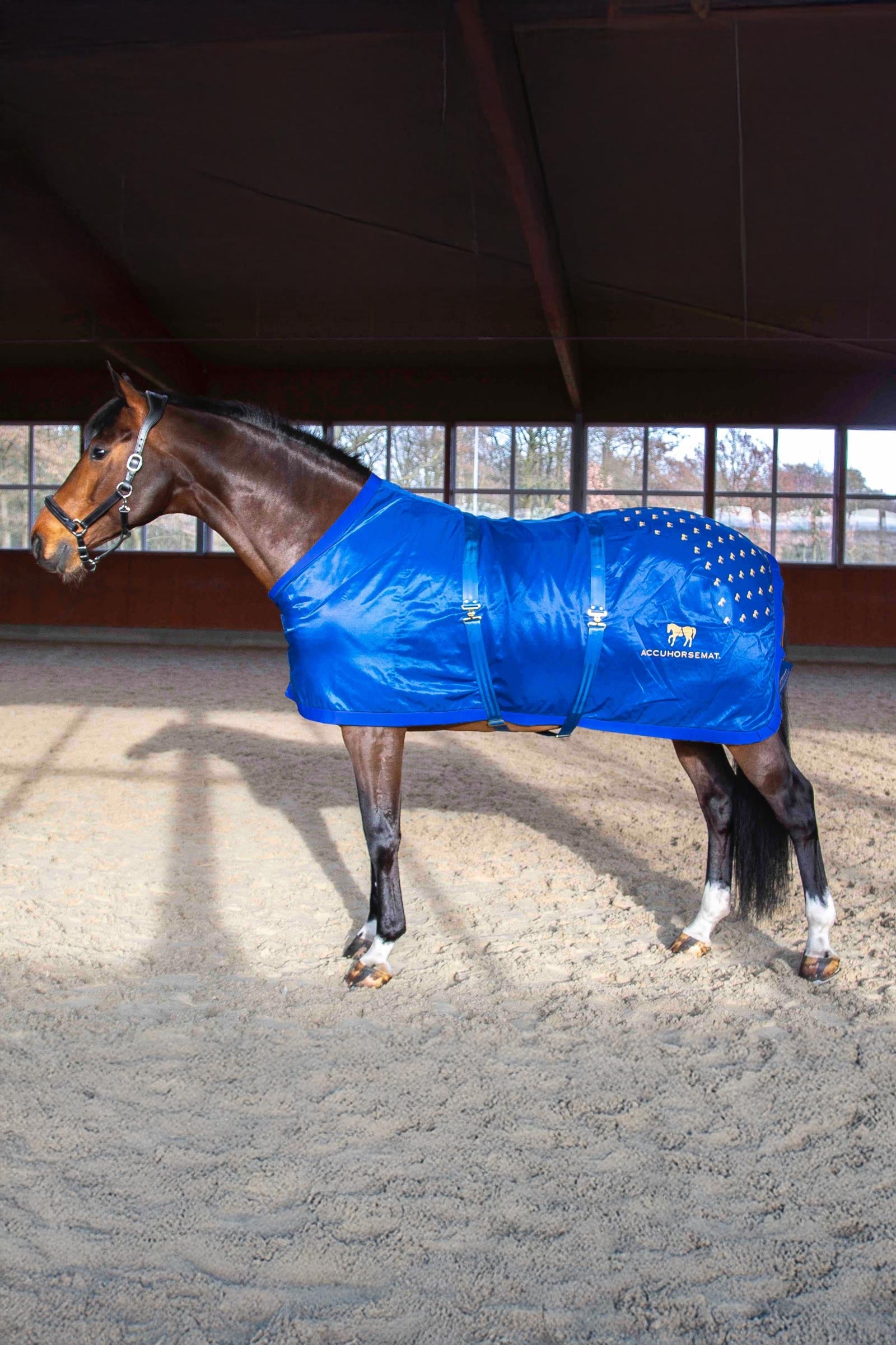 Accuhorsemat Original Horse Rugs