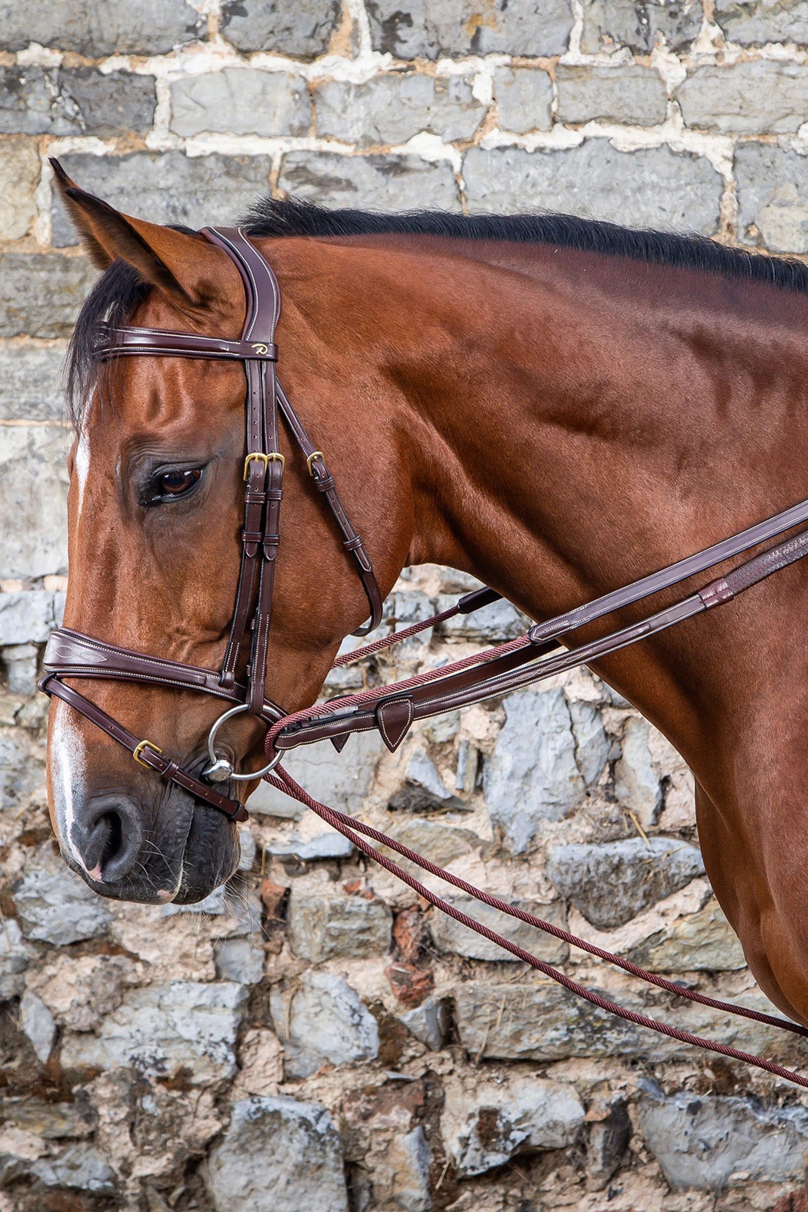 Dy'on D-Collection 5/8" Leather/Nylon Draw Reins Bridles & Reins