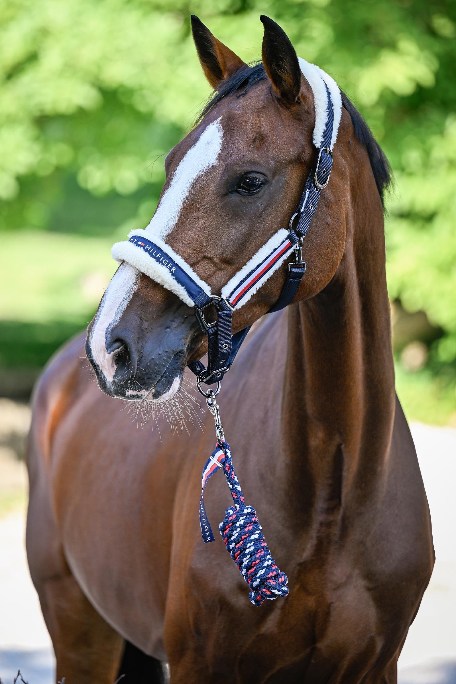 Tommy Hilfiger Equestrian Yale Set Faux Fur Halter Rope Halters & Leads