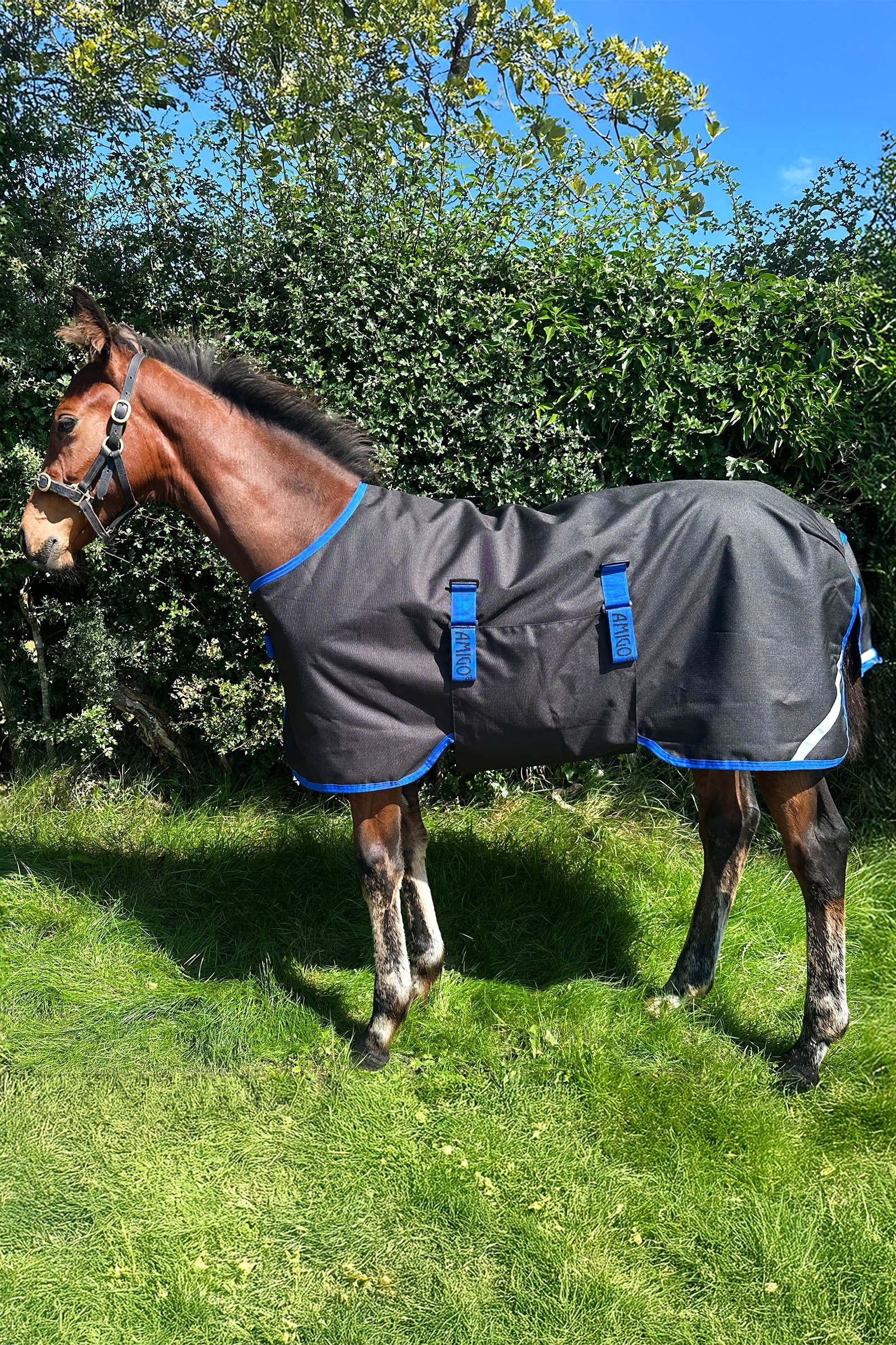Horseware Amigo Ripstop 900D výběhová deka pro hříbata 50g Horse Rugs