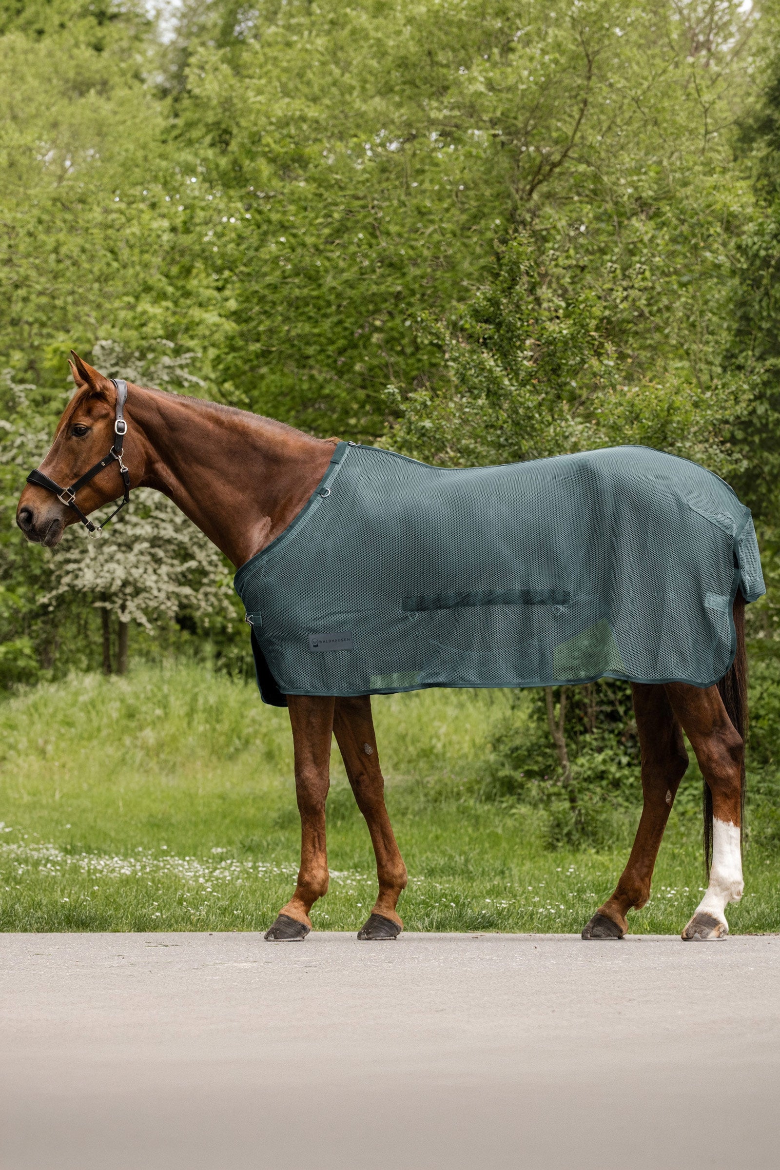 Waldhausen Comfort muchová deka s břišním krytem Horse Rugs