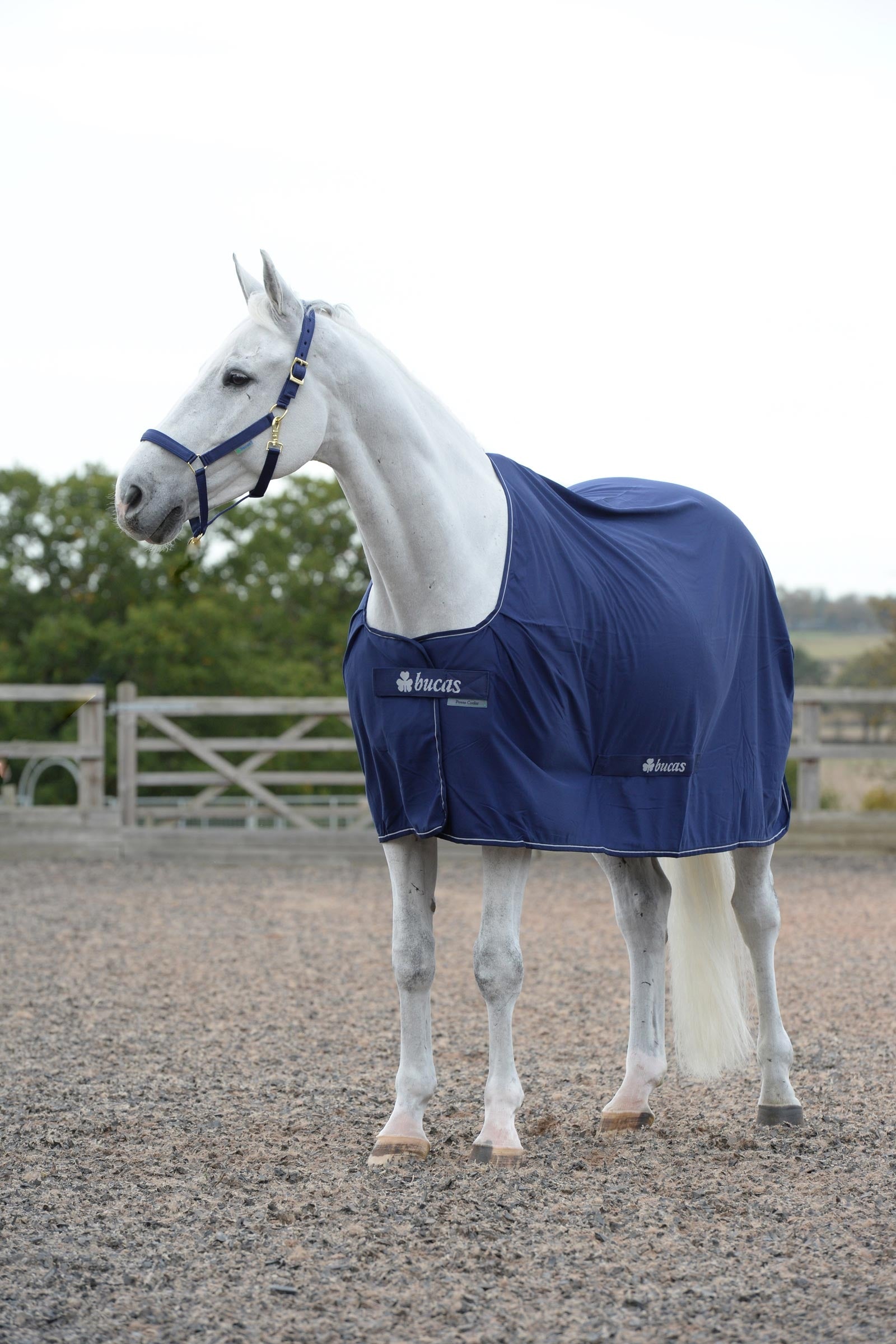 Bucas Power odpocovací deka Horse Rugs