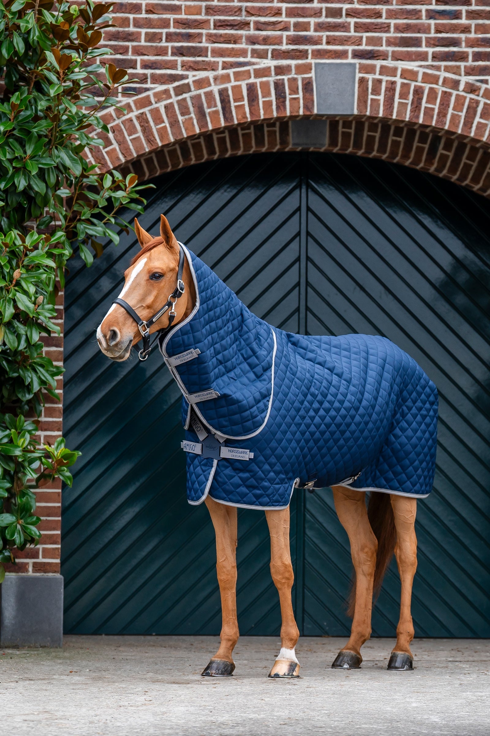 Horseware Amigo prošívaná stájová deka Plus, 200 g Horse Rugs