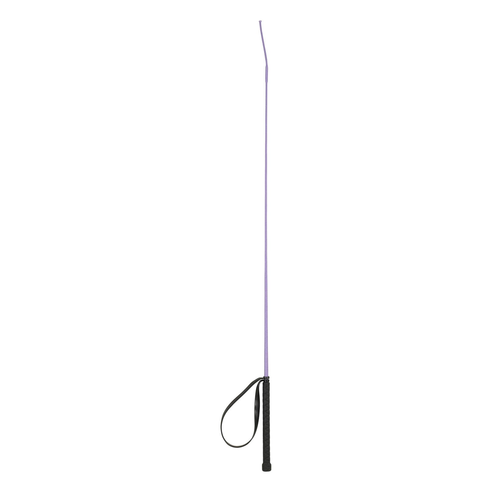 Alt Tag fallback text for IMAGE