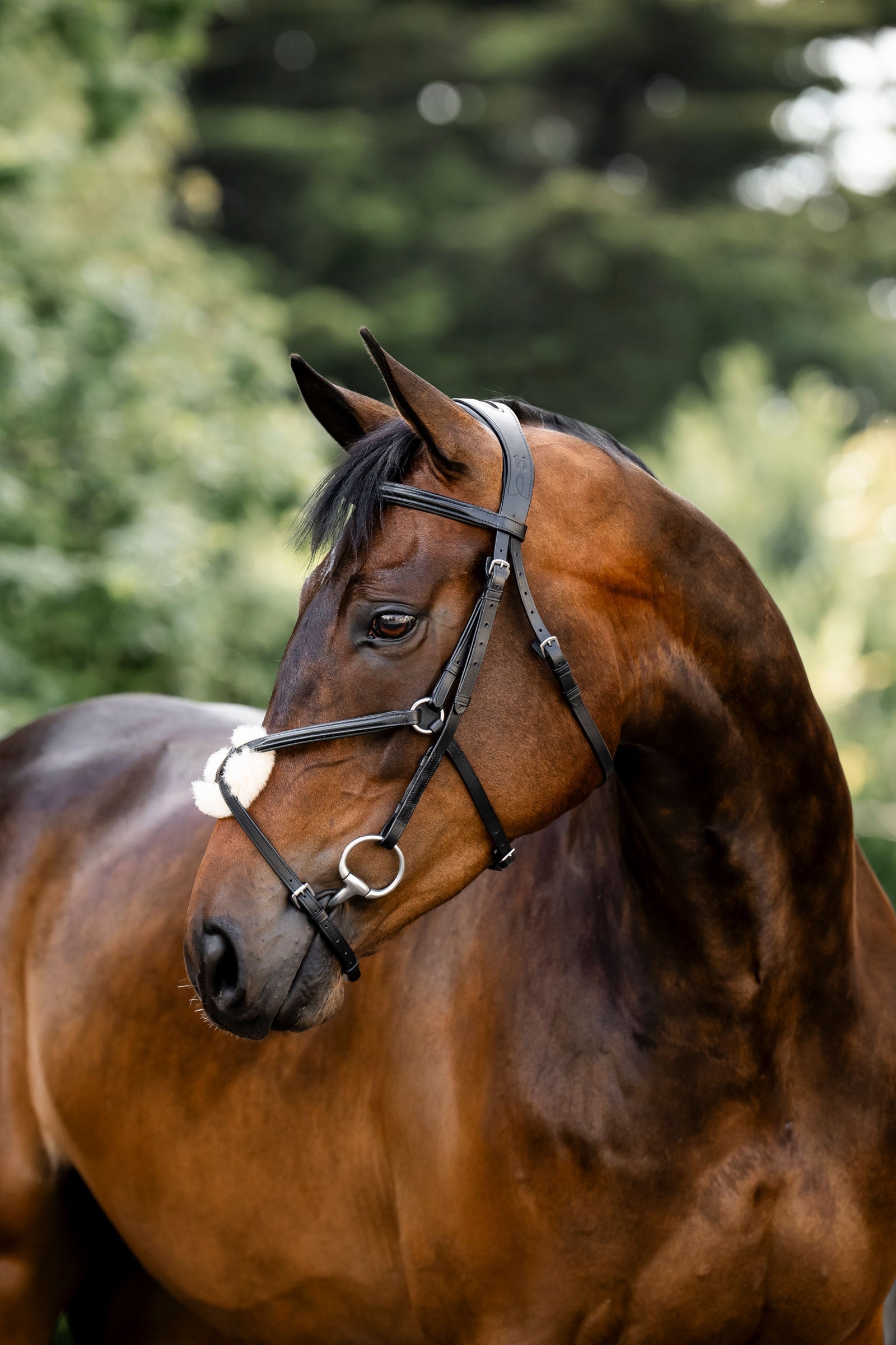 Horseware uzdečka s osmičkovým nánosníkem Bridles & Reins
