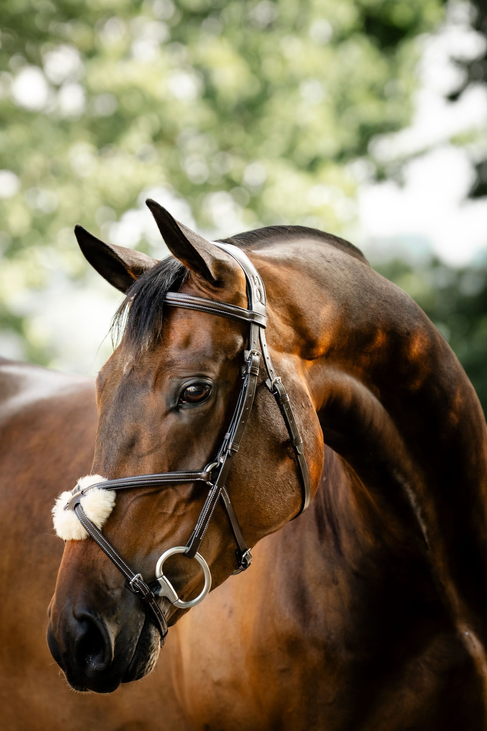 Horseware uzdečka s osmičkovým nánosníkem Bridles & Reins