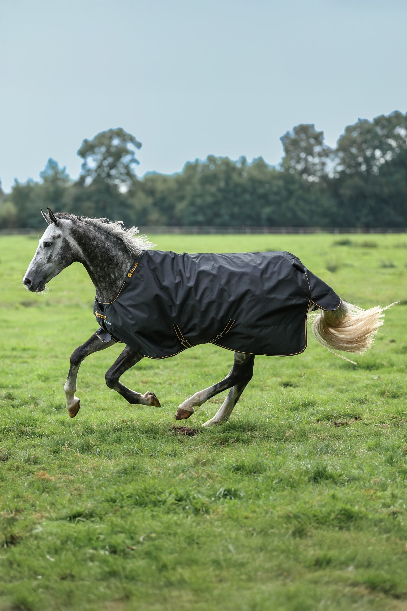Bucas Irish výběhová deka, 100 g Horse Rugs