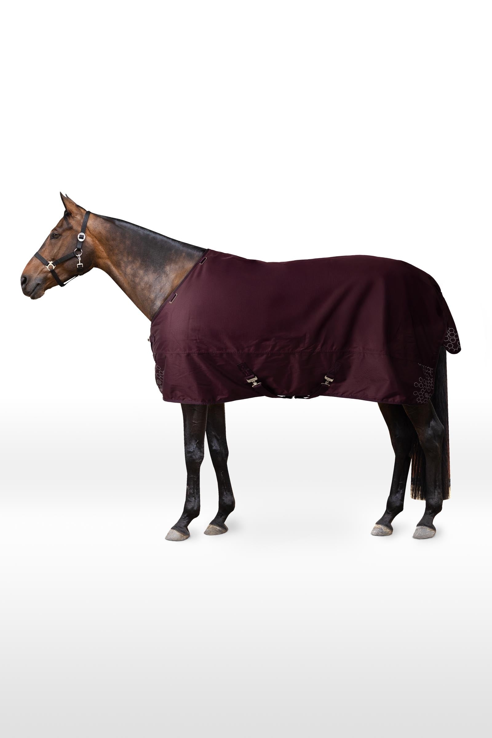 Horze Newbridge reflexní výběhová deka, 200 g Horse Rugs