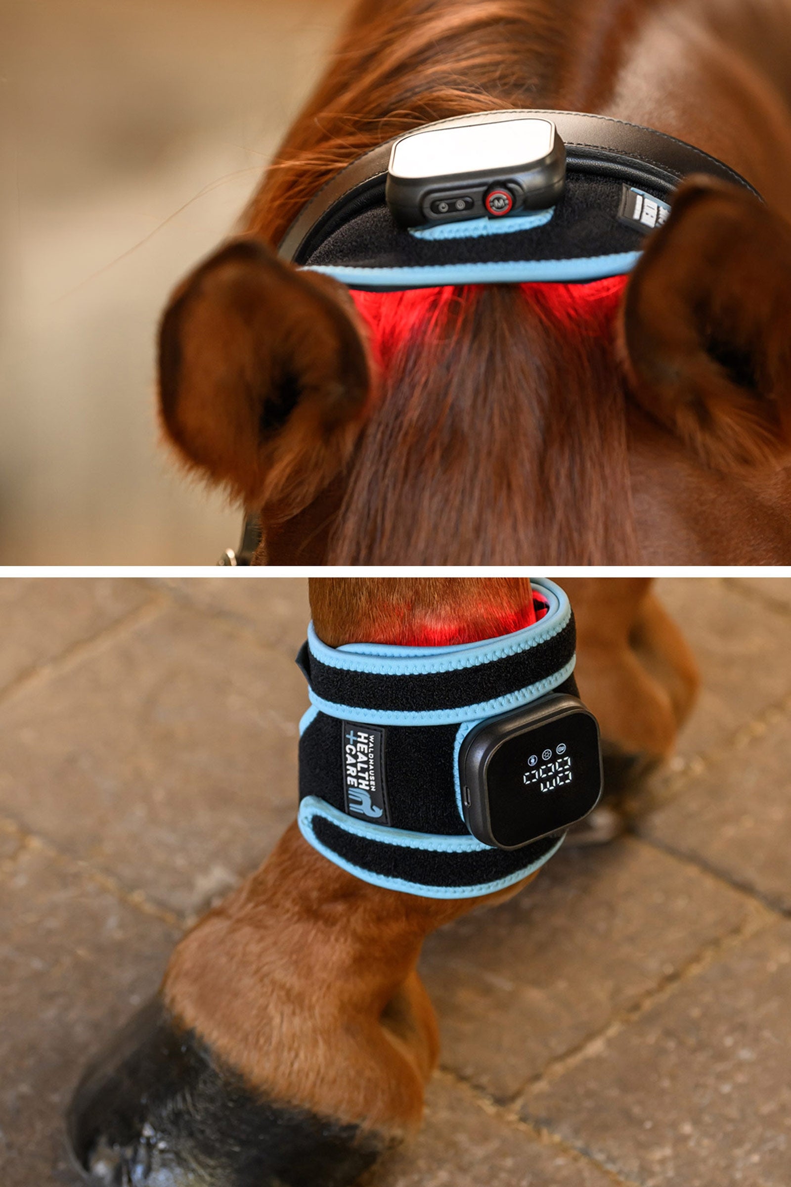 Waldhausen Health + Care infračervený FlexPad Leg Protection & Hoof Protection for Horses
