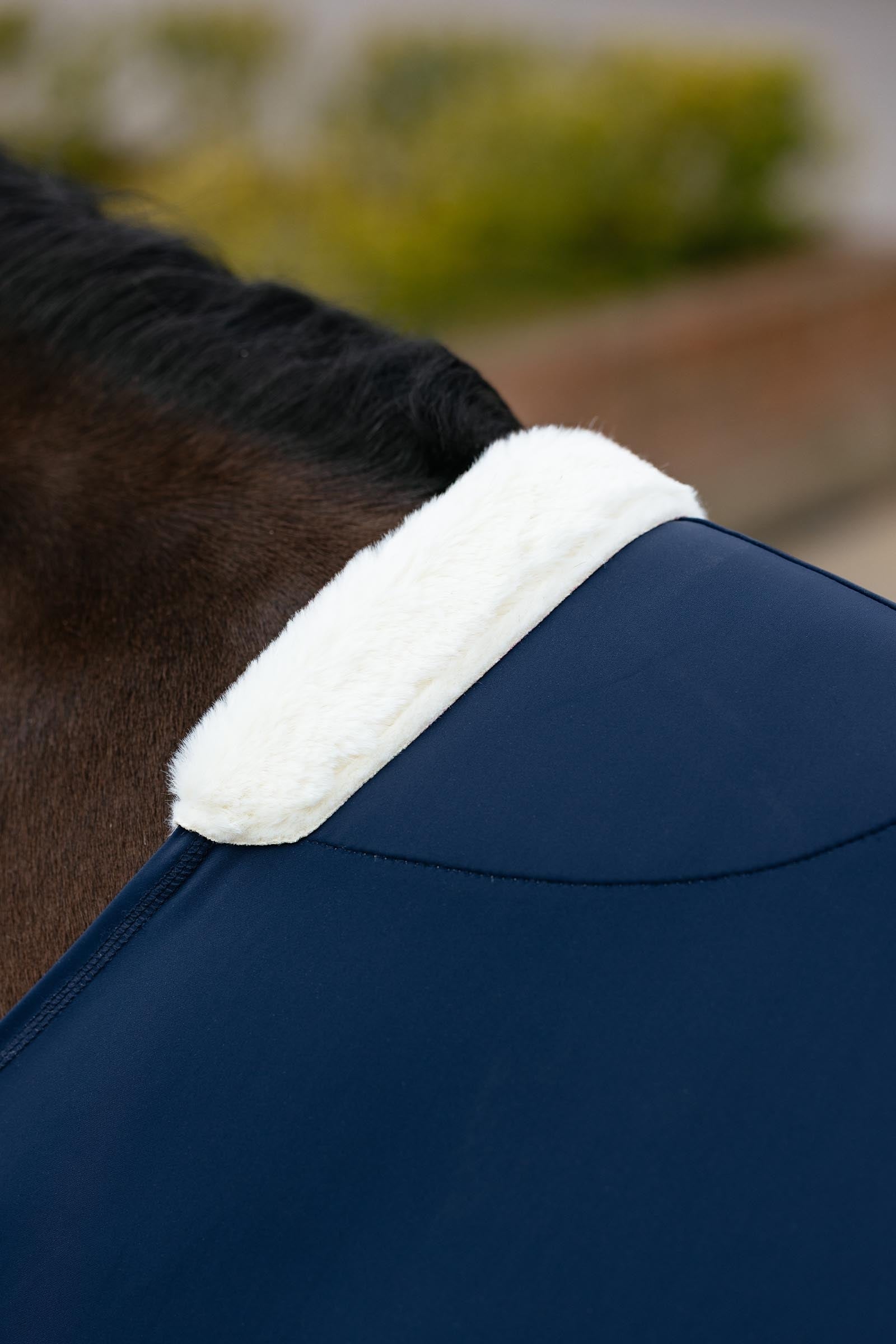 LeMieux Sensitive Friction-Free Chest Protector Horse Rugs