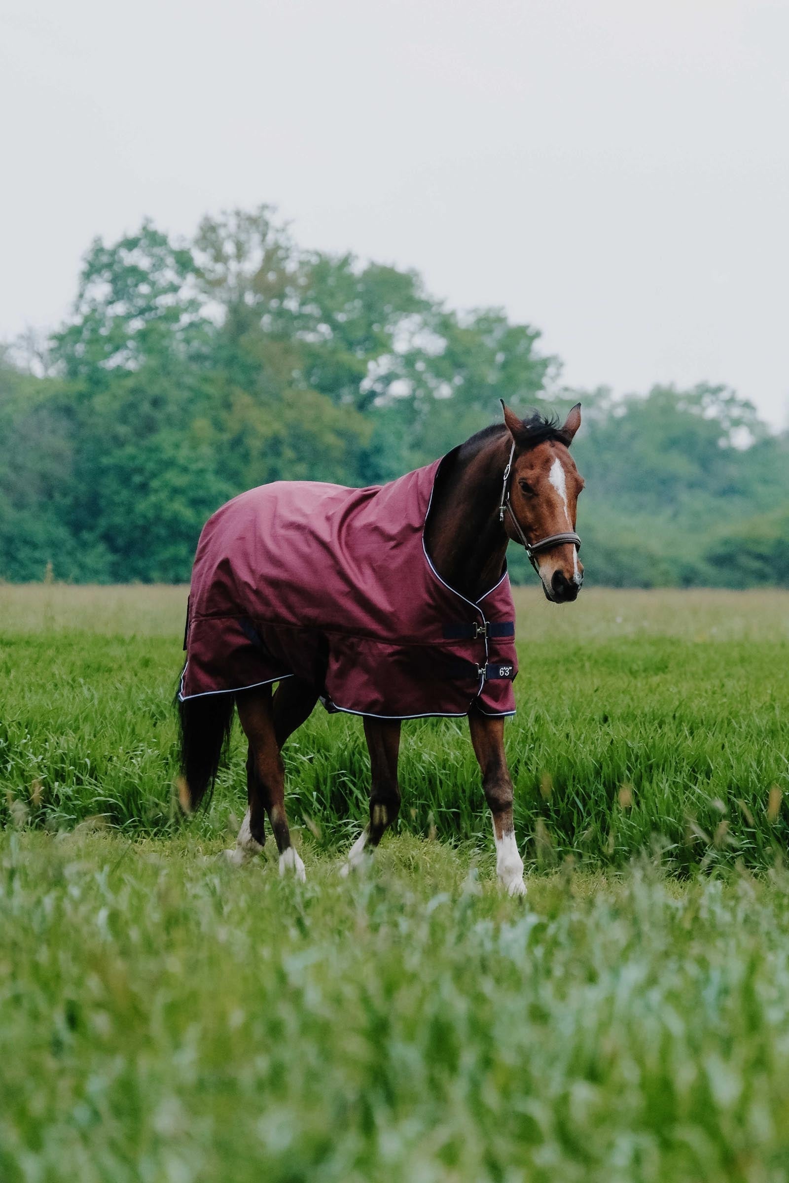 Equi Theme EQUITHÈME TYREX 1200D High Neck Rug, 50 g Horse Rugs