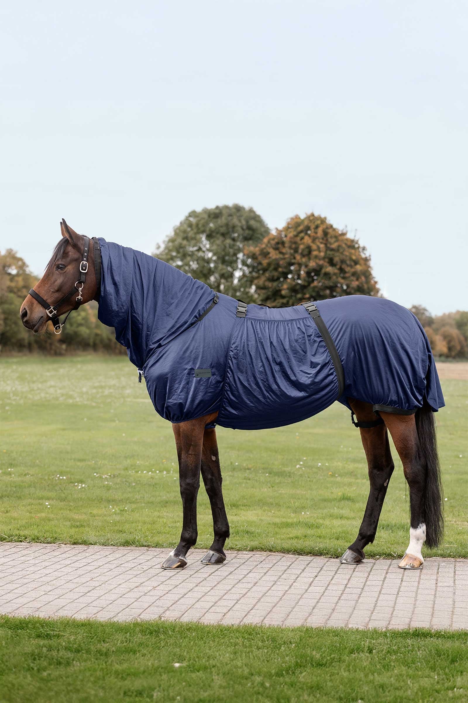Waldhausen deka proti ekzému Horse Rugs