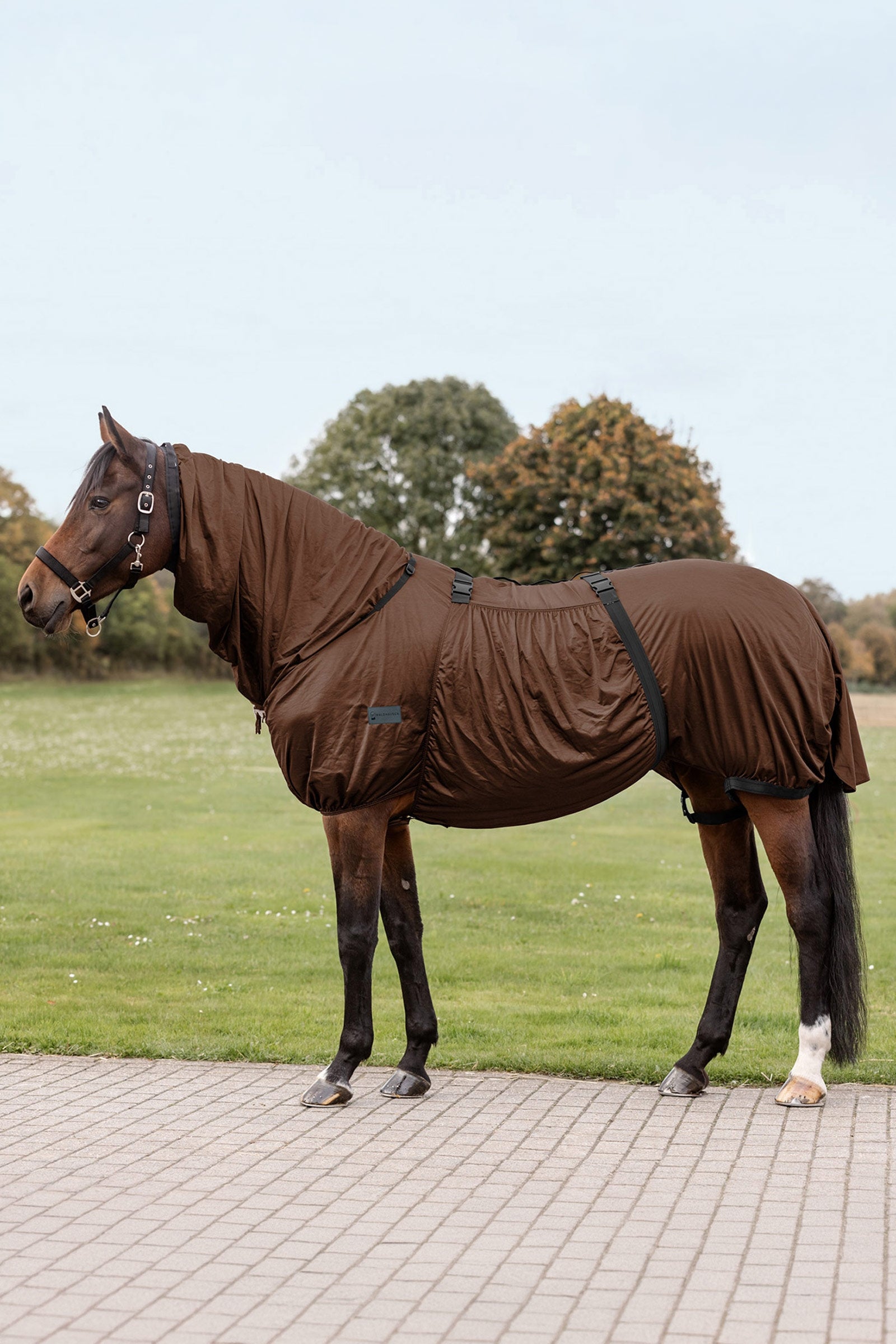 Waldhausen deka proti ekzému Horse Rugs
