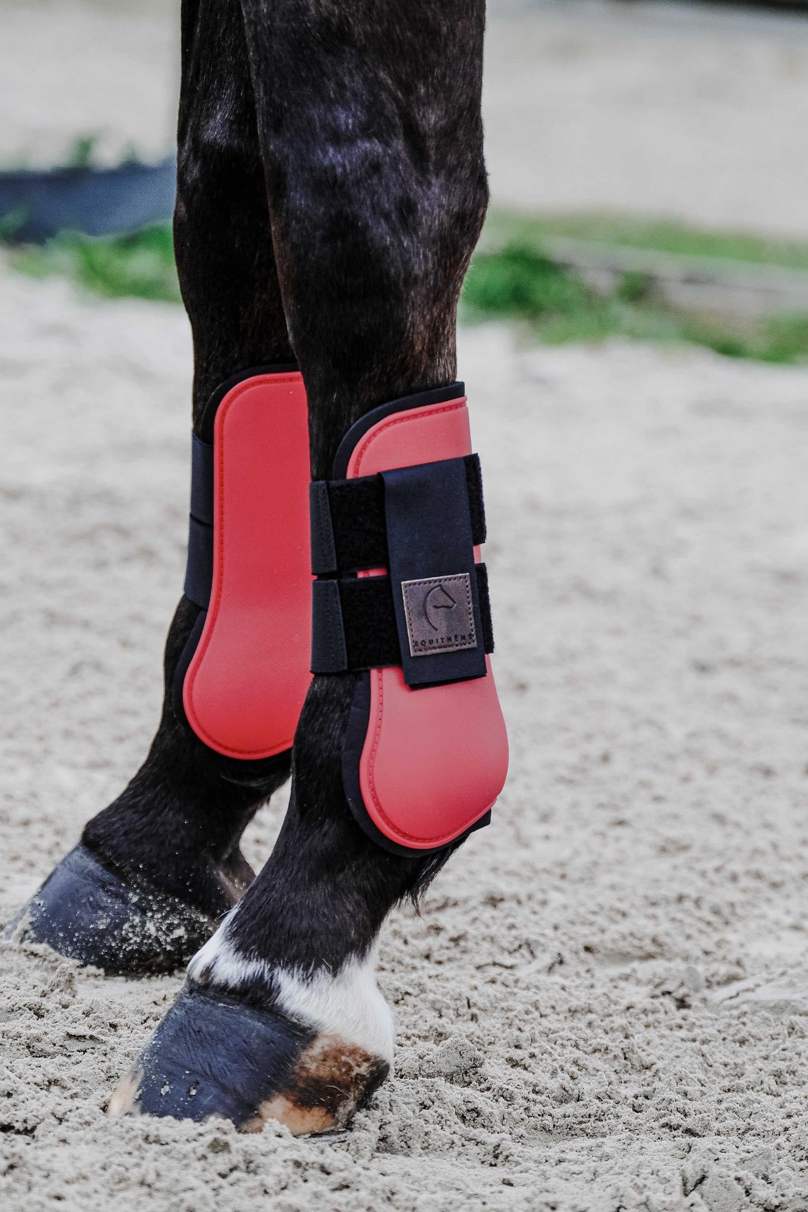 Equi Theme EQUITHÈME Tara Tendon Boots Leg & Hoof Protection