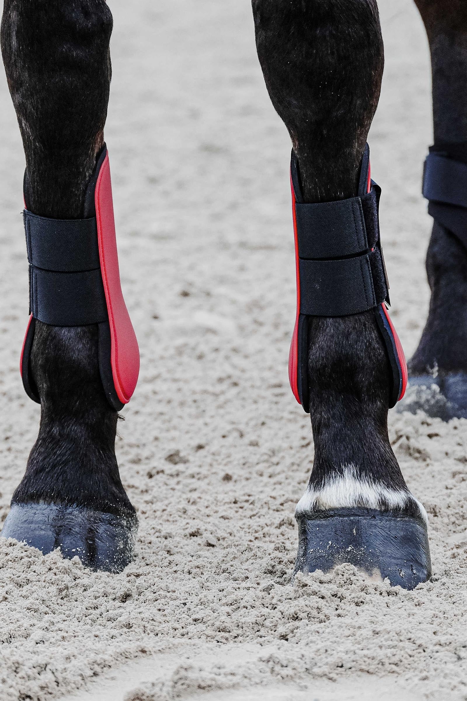 Equi Theme EQUITHÈME Tara Tendon Boots Leg & Hoof Protection