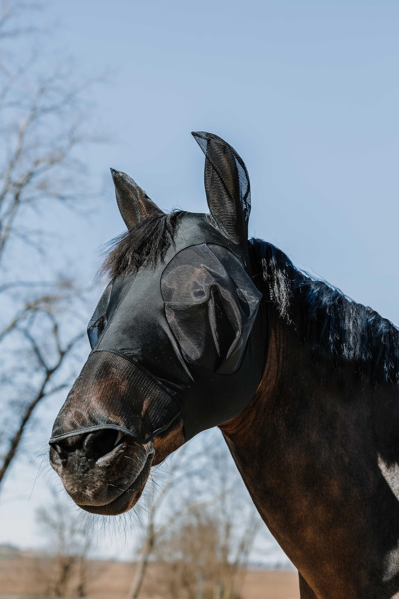 Equi Theme EQUITHÈME Lycra Fly Mask / UV Mask + Nose Antifly Protection for Horses