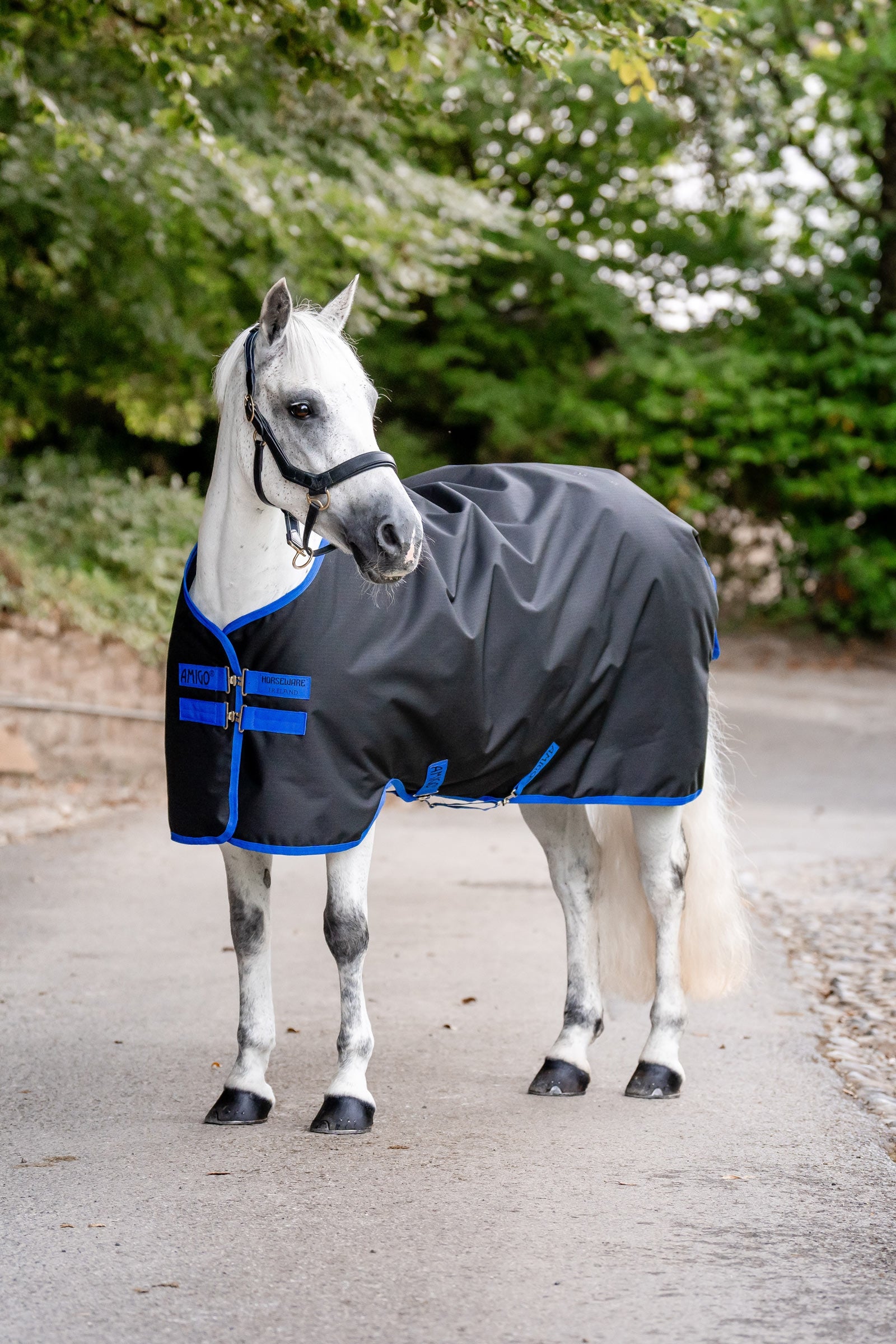 Horseware Amigo výběhová deka Ripstop 900D, 200 g Horse Rugs