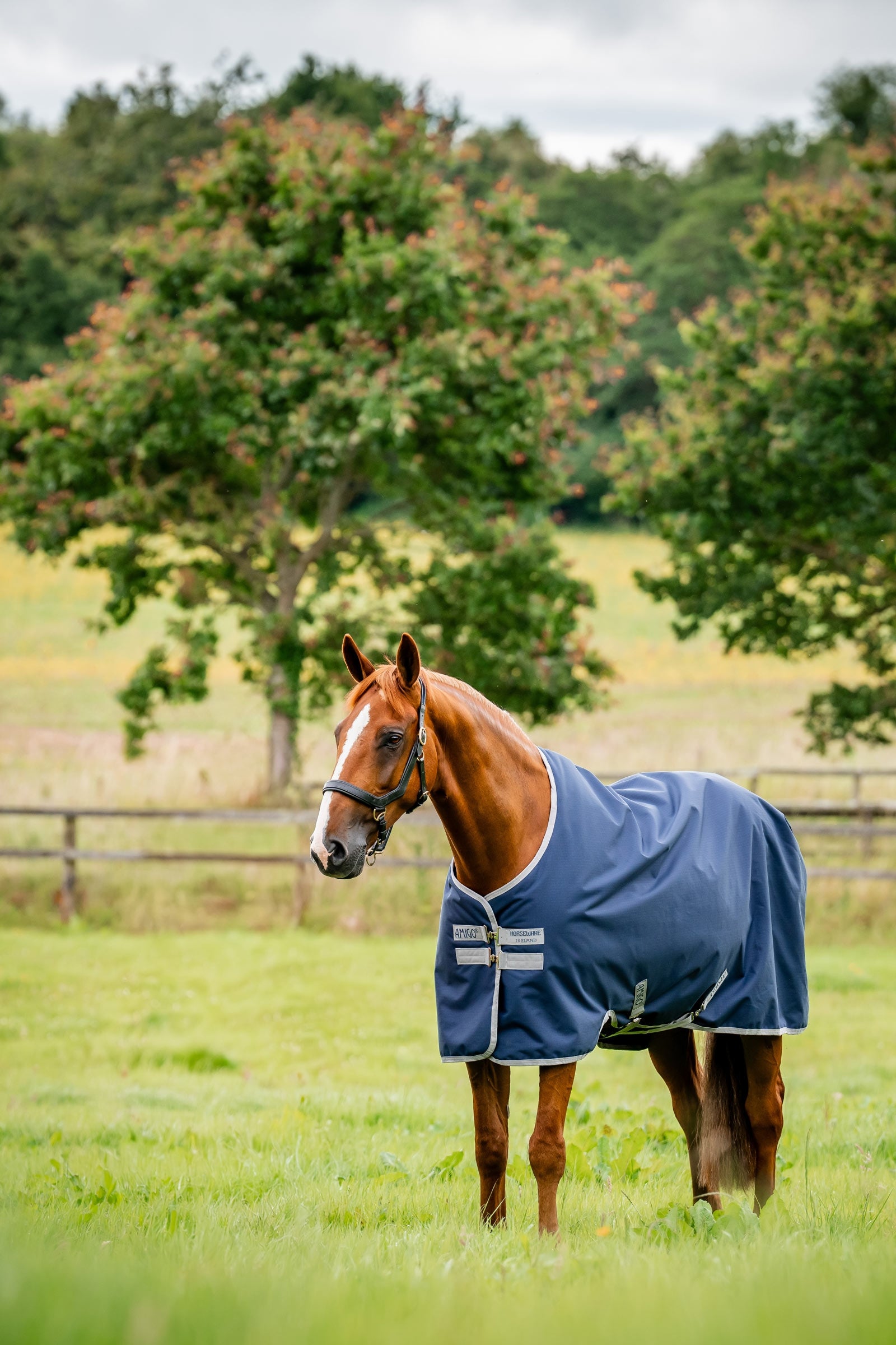 Horseware Amigo výběhová deka Ripstop 900D, 200 g Horse Rugs