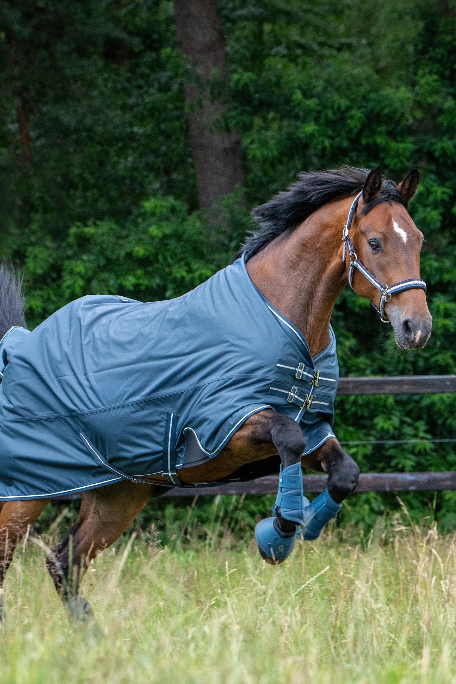 Eskadron Classic Sport SS26 Mesh Tendon Boots Leg Protection & Hoof Protection for Horses