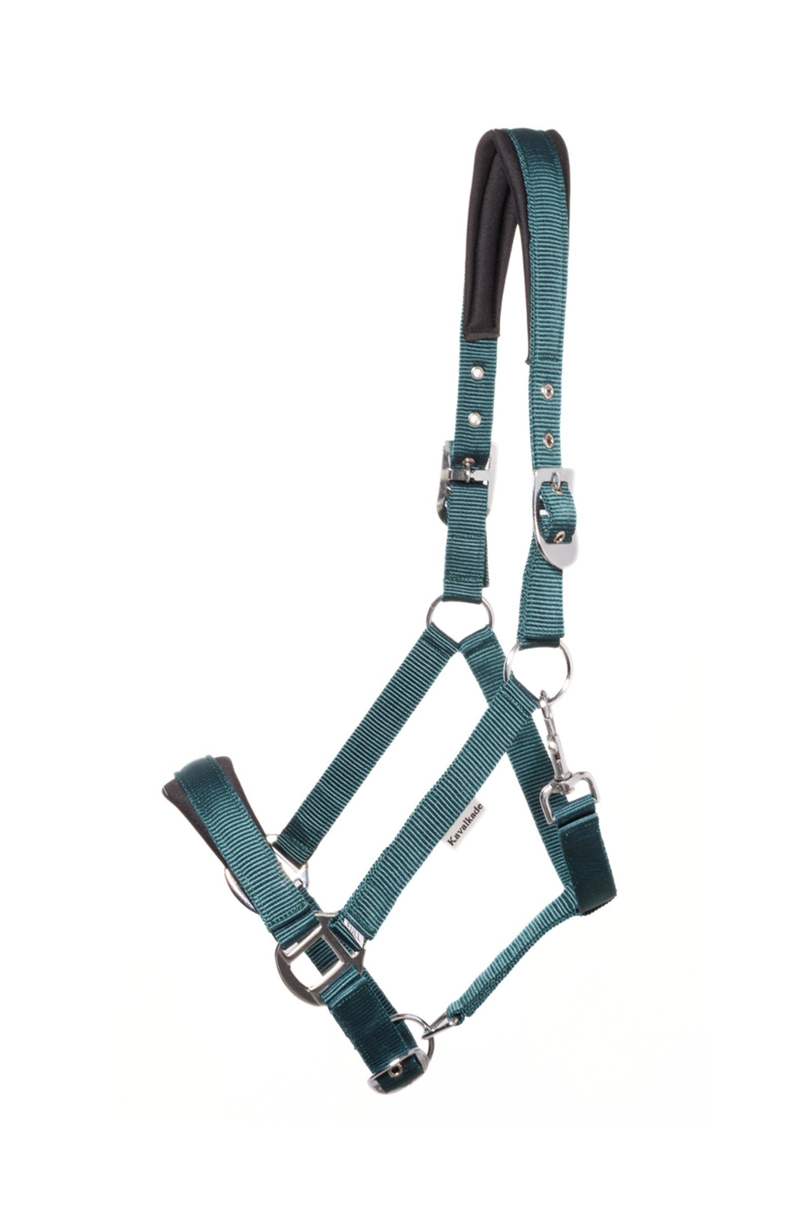 Kavalkade Classic Simple Halter Halters & Leads