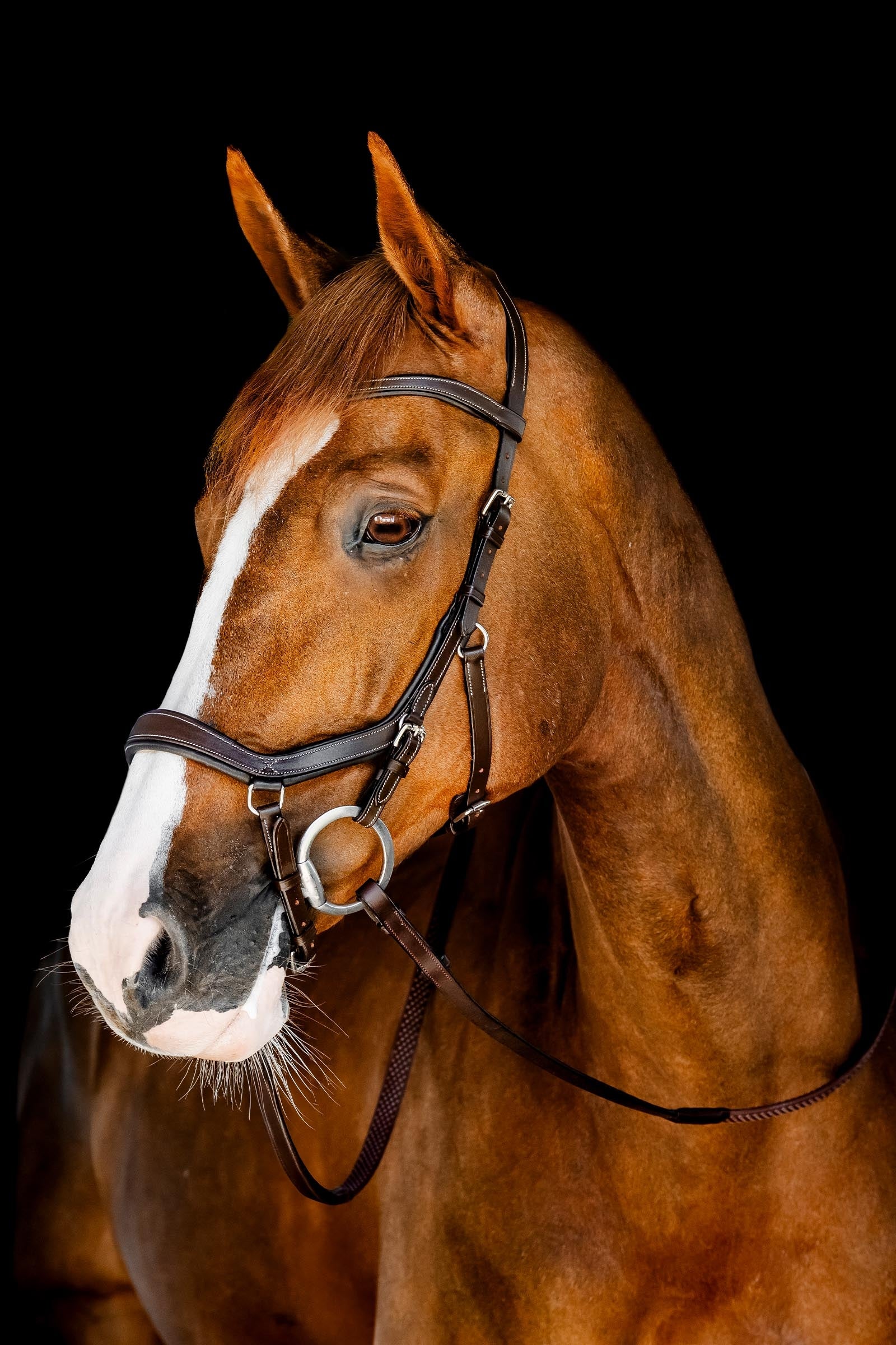 Horseware Rambo Micklem uzdečka na soutěže Bridles & Reins