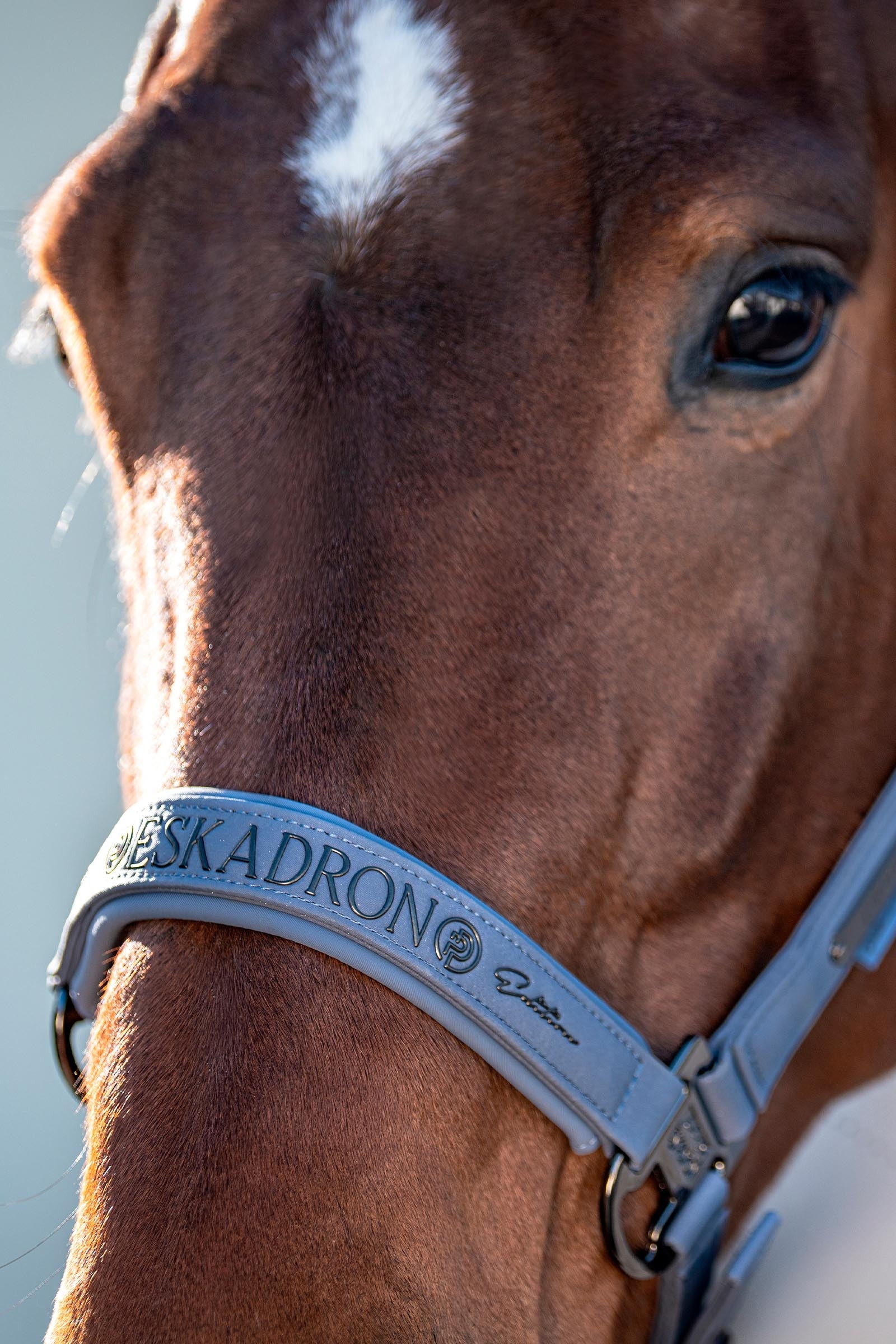 Eskadron Platinum 26 Sparkle Double Pin Headcollar Halters & Leads