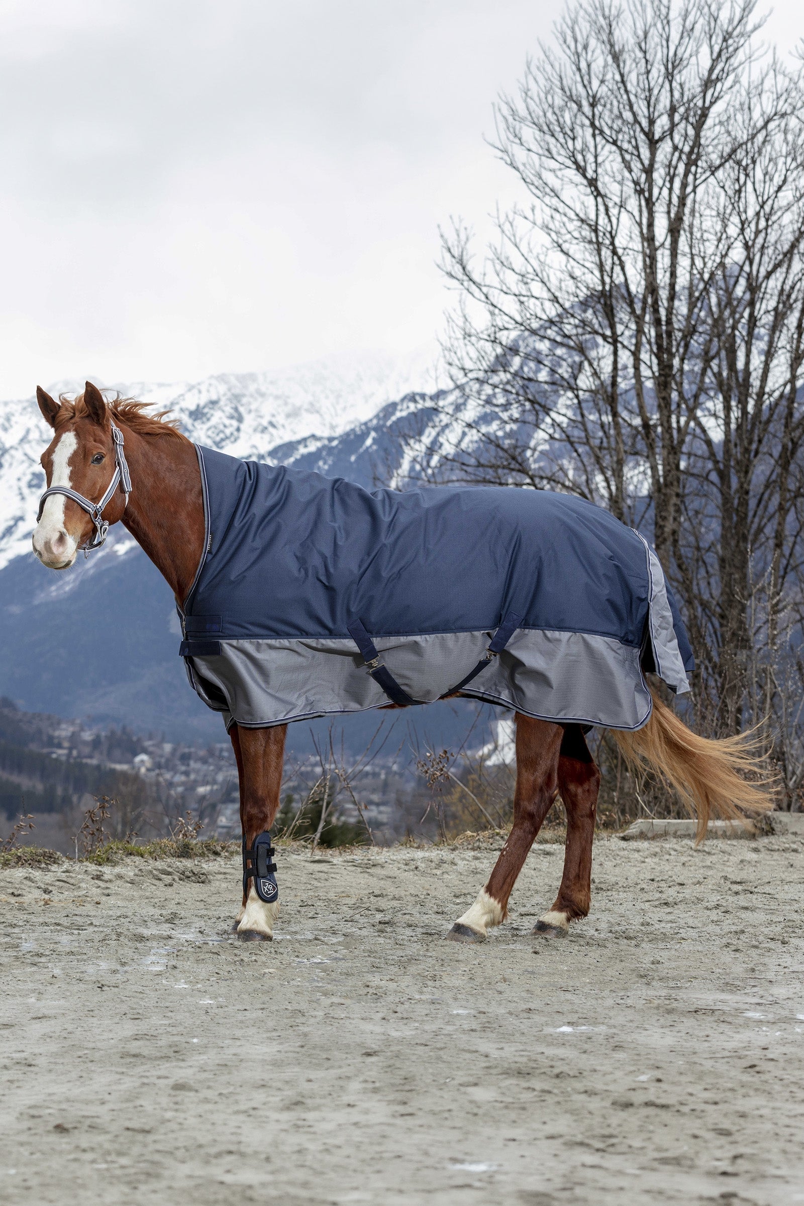 Equi Theme EQUITHÈME TYREX 600D High Neck Rug, 150 g Horse Rugs