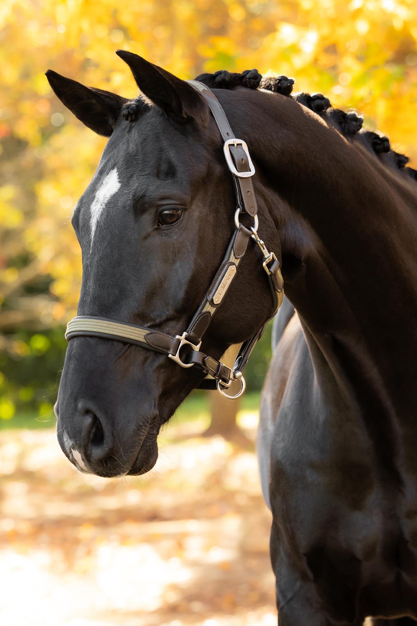 Lifestyle shot 1