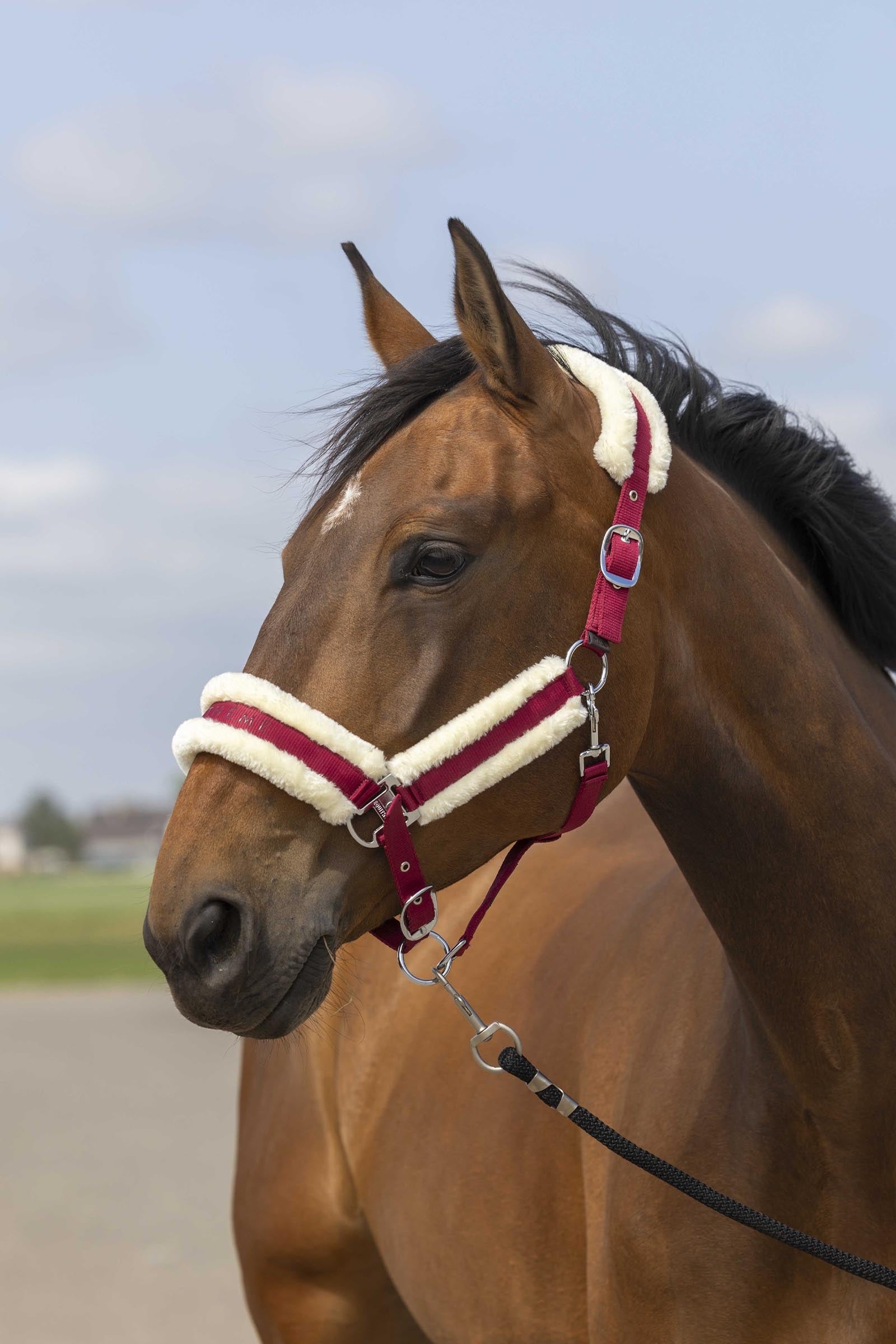 EQUITHÈME Nylonová ohlávka Mouton Halters & Leads
