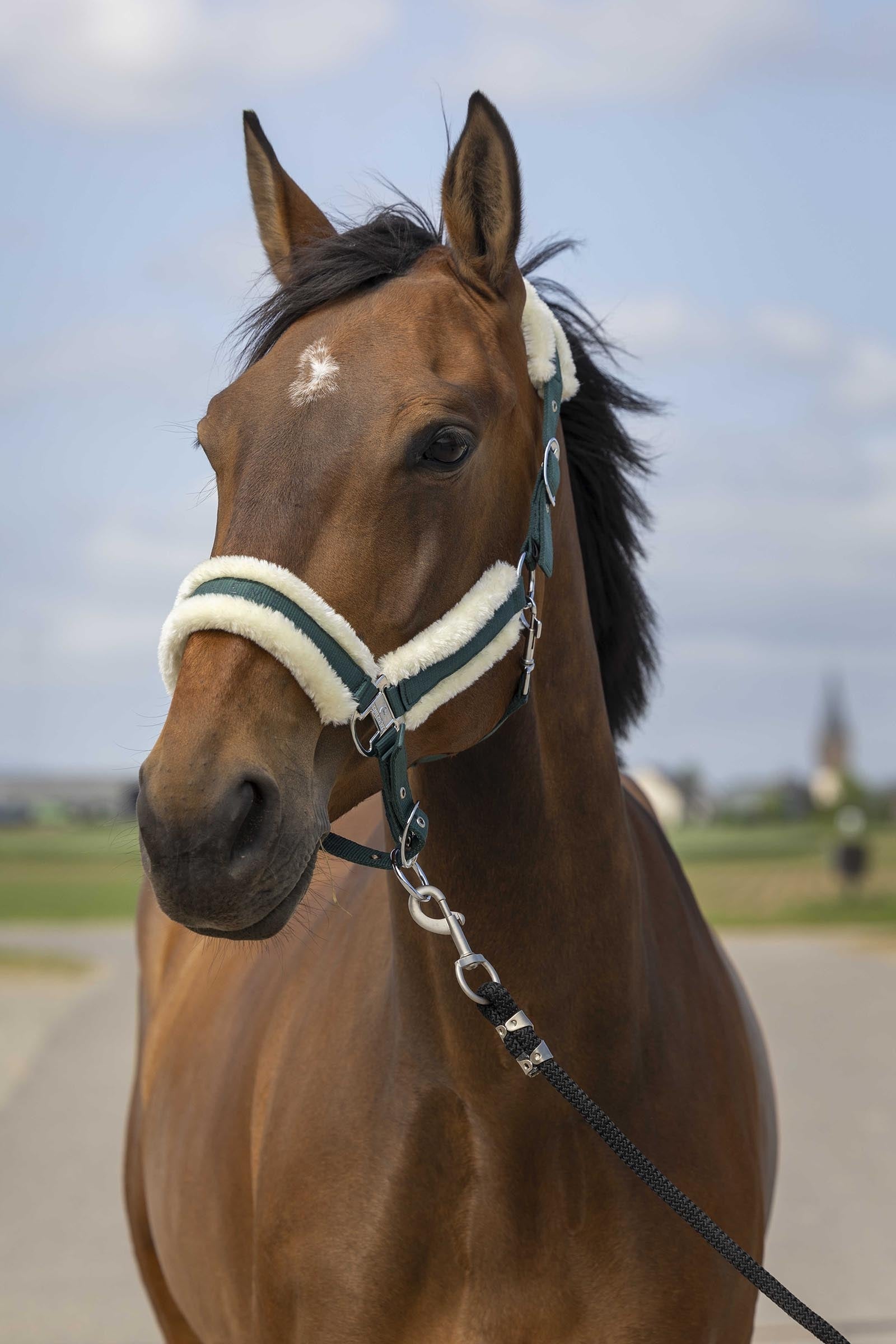 Equi Theme EQUITHÈME Nylon Mouton Halter Halters & Leads