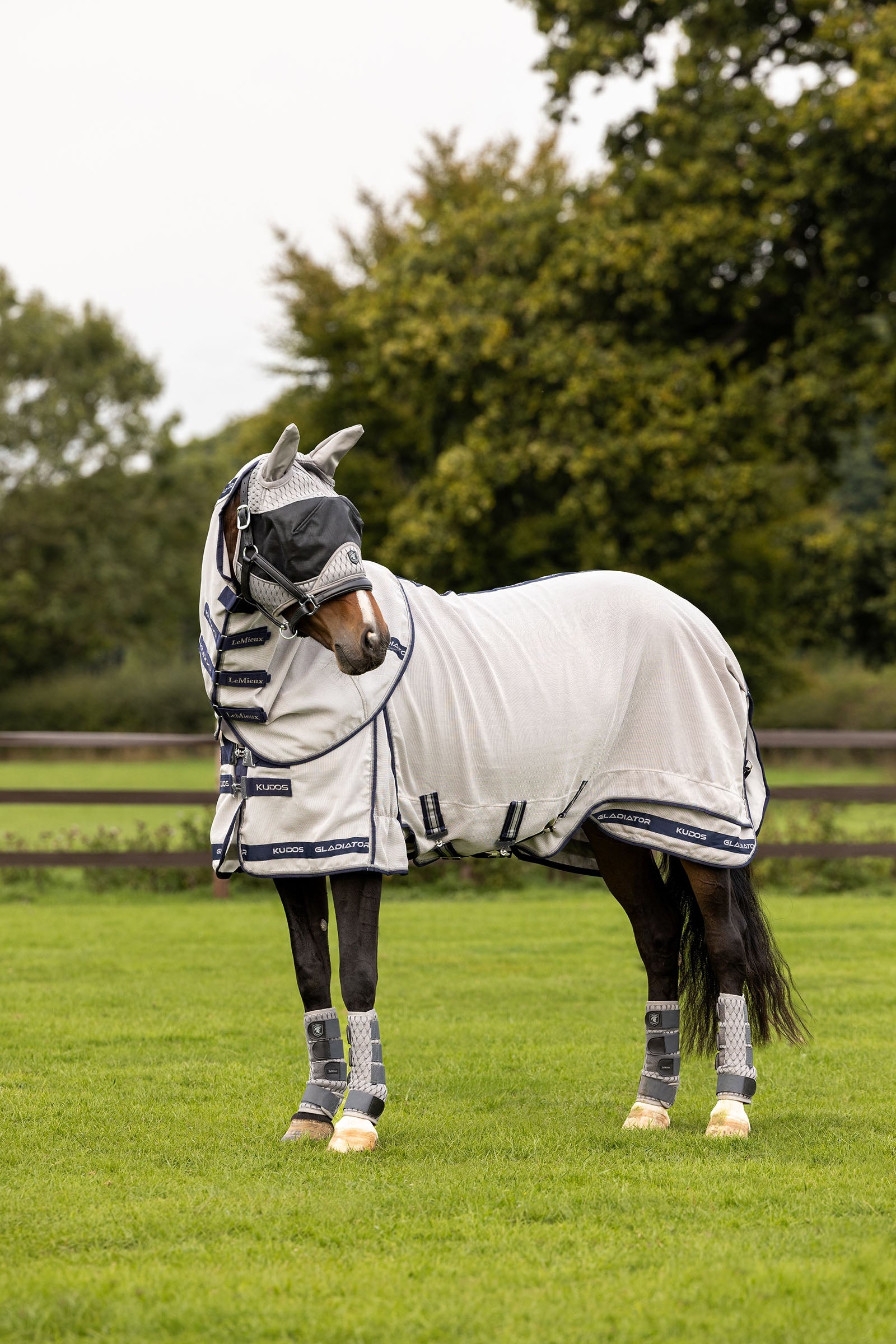 LeMieux Kudos Gladiator síťovaná deka proti hmyzu Horse Rugs