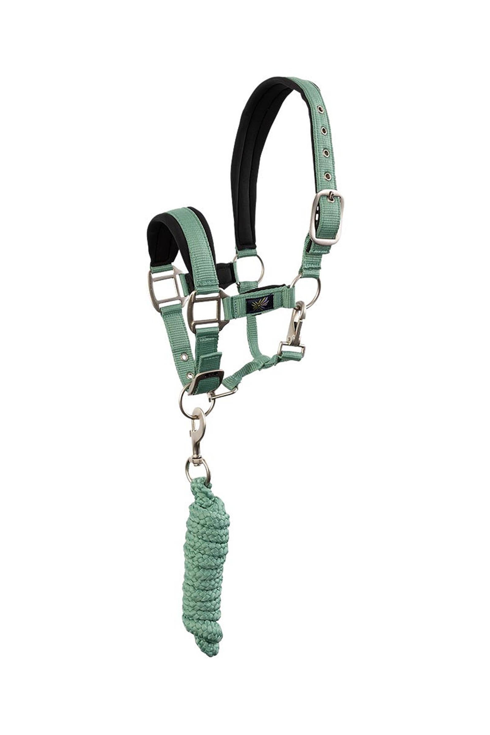 BR ohlávka pro pony / mini horse s vodítkem Halters & Leads
